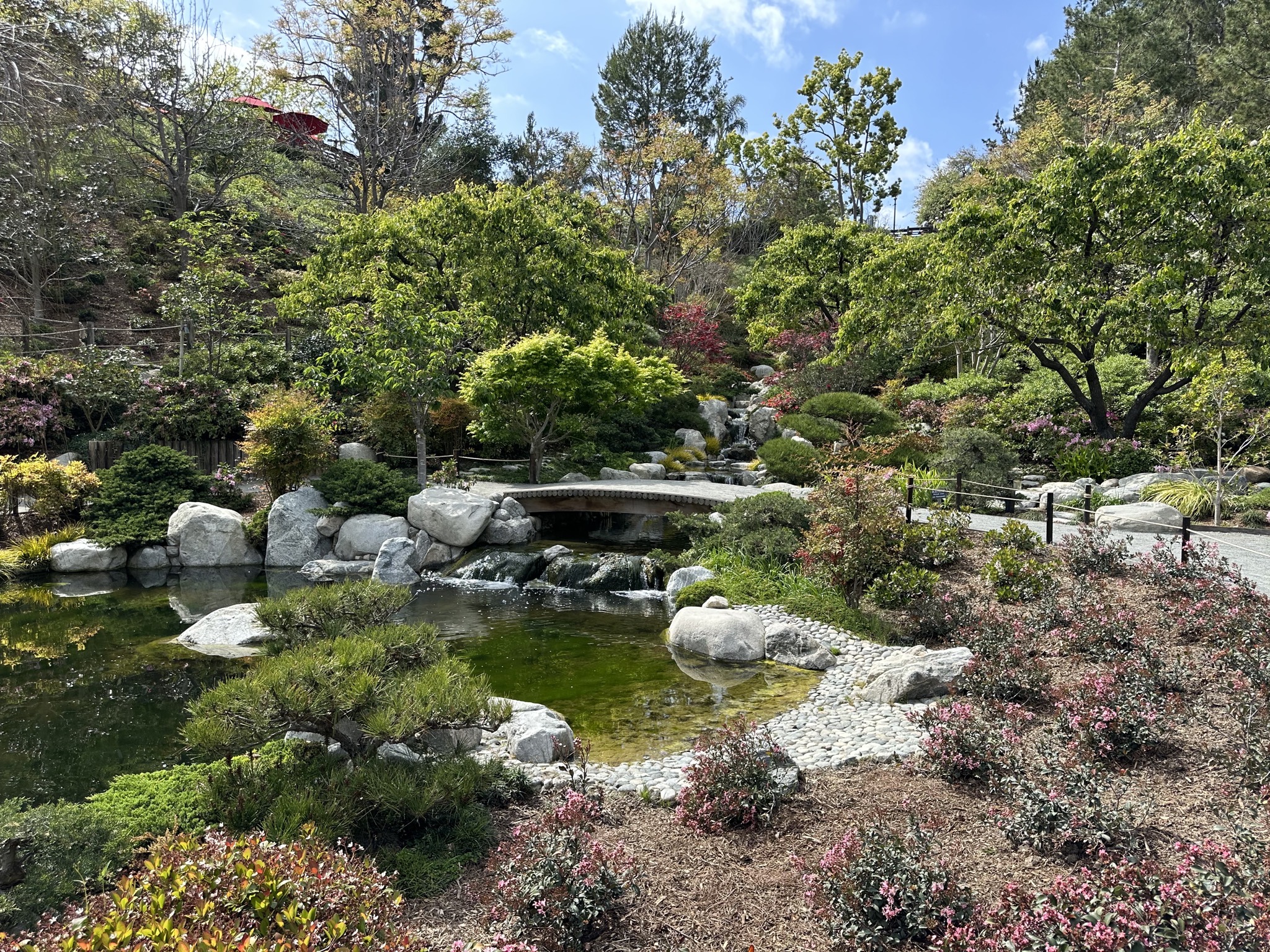 Japanese Friendship Garden