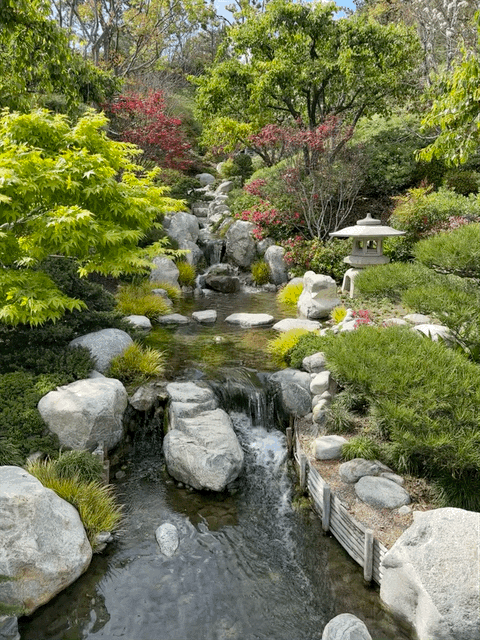 Japanese Friendship Garden