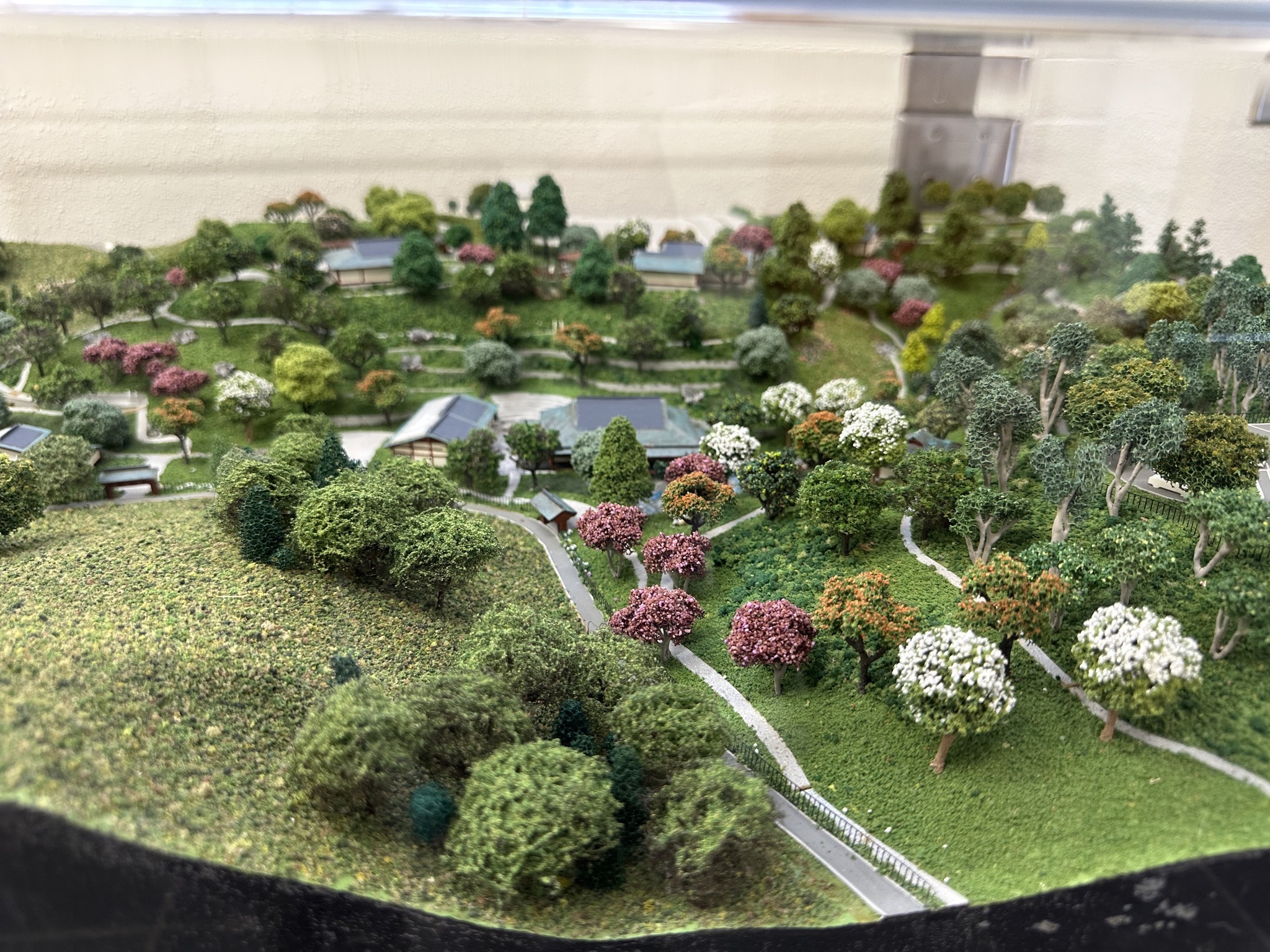 Japanese Friendship Garden