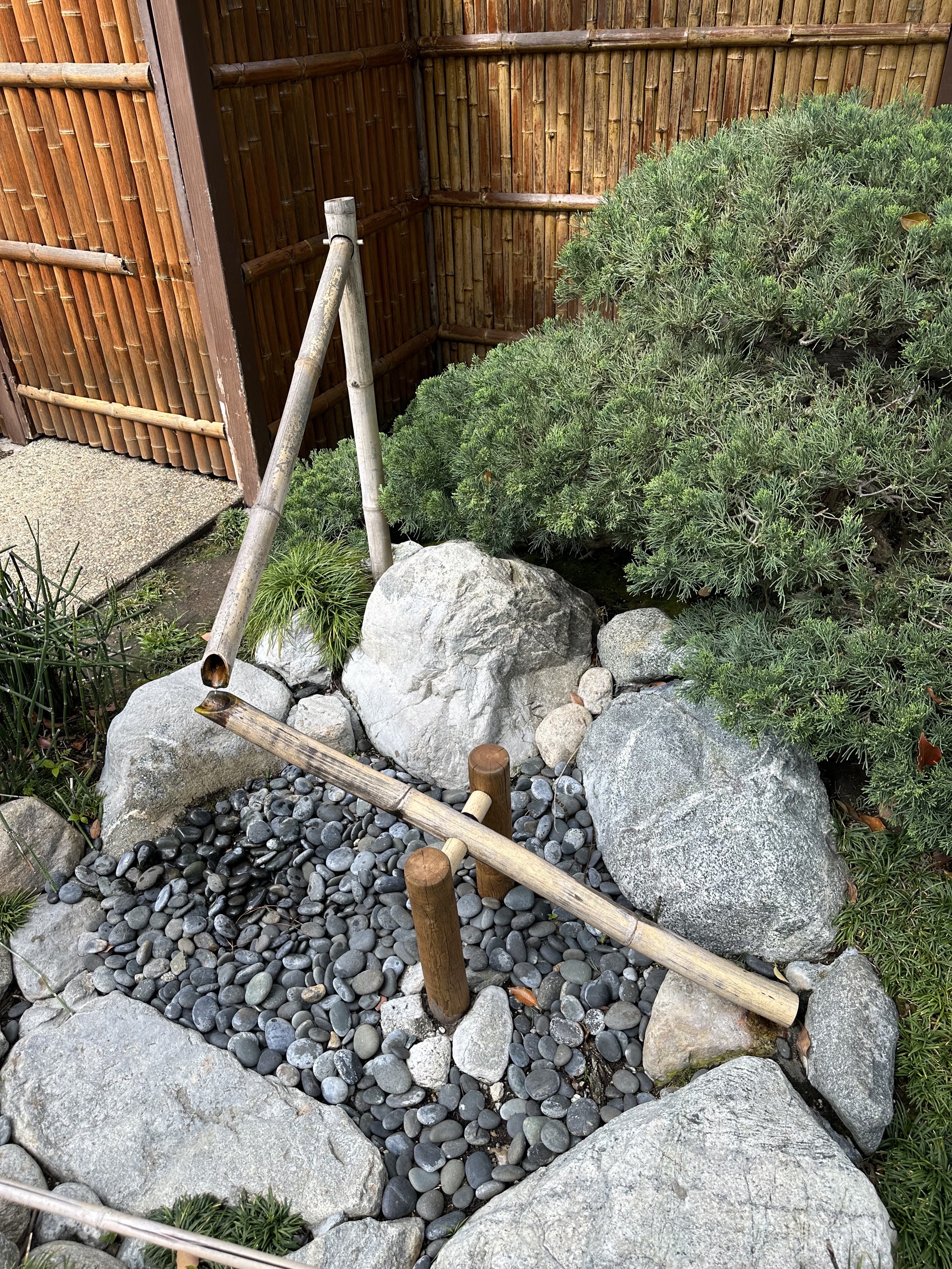 Japanese Friendship Garden