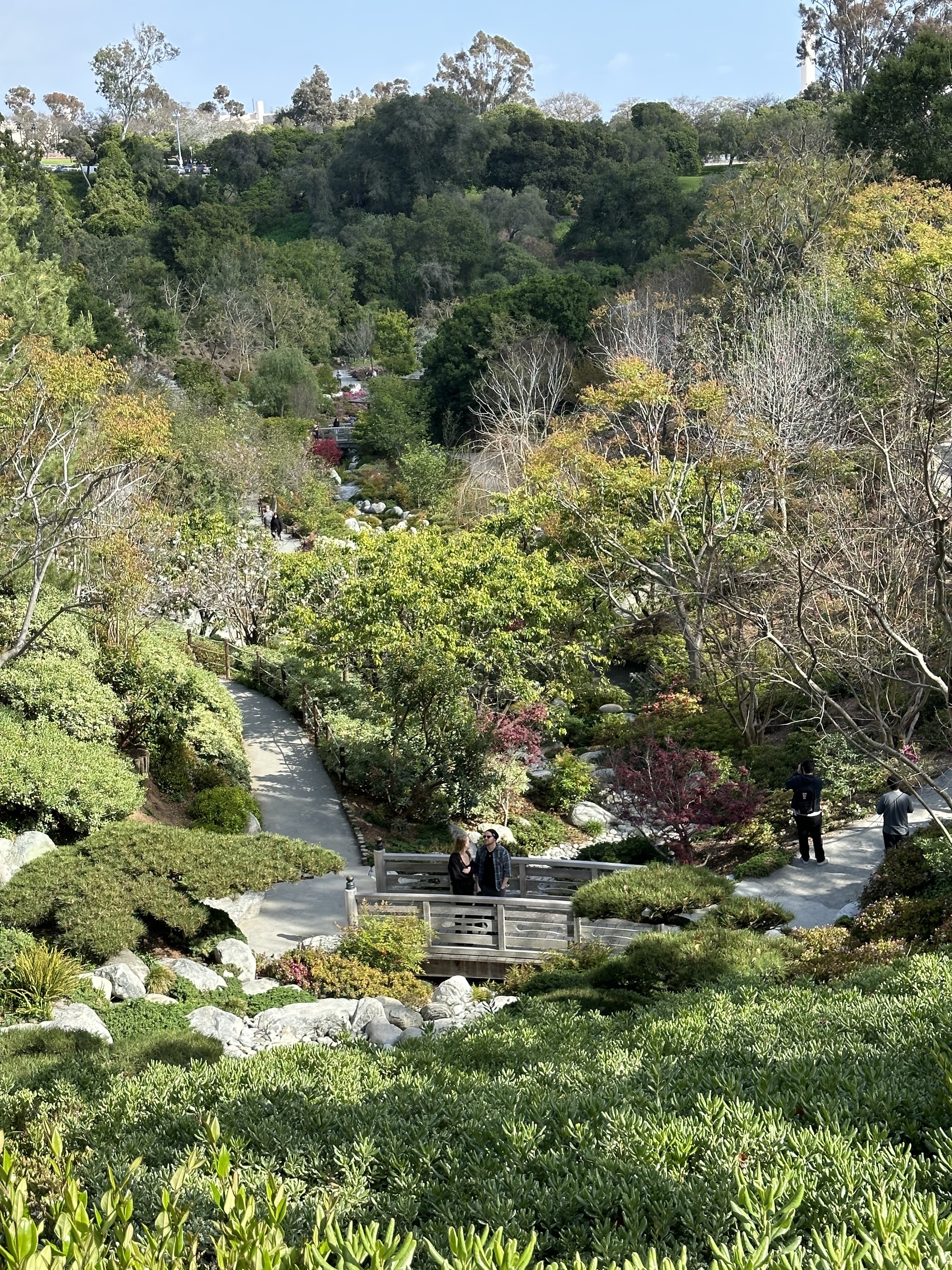 Japanese Friendship Garden