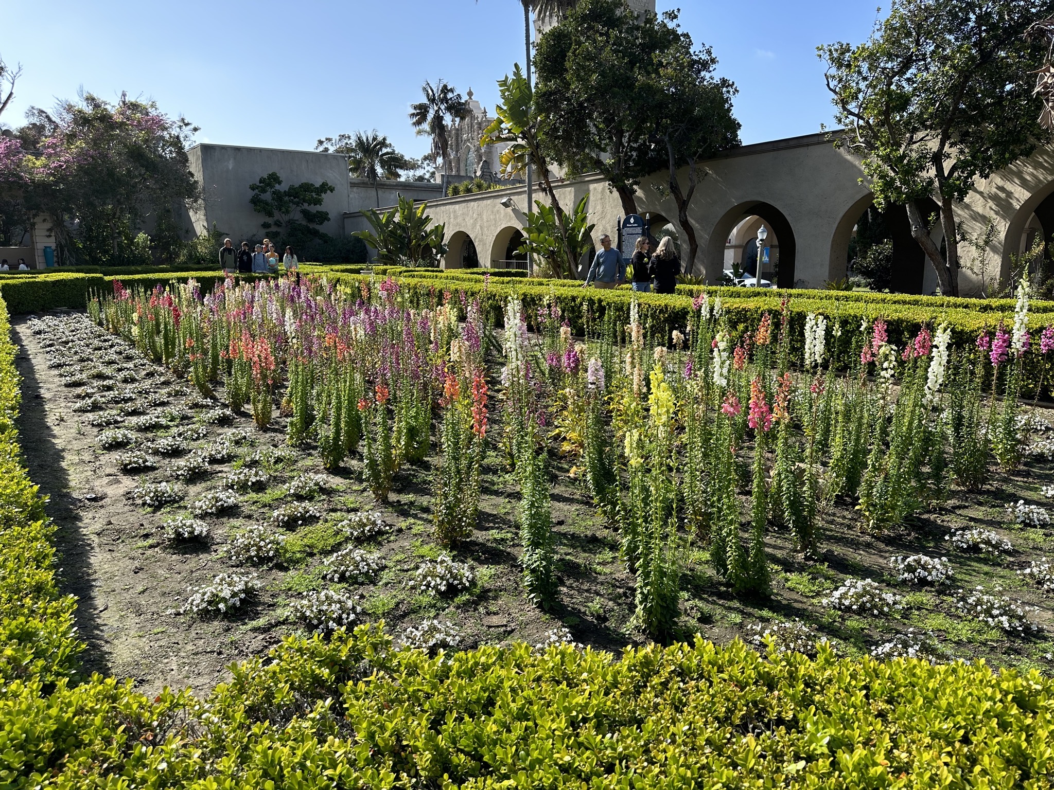 Alcazar Garden