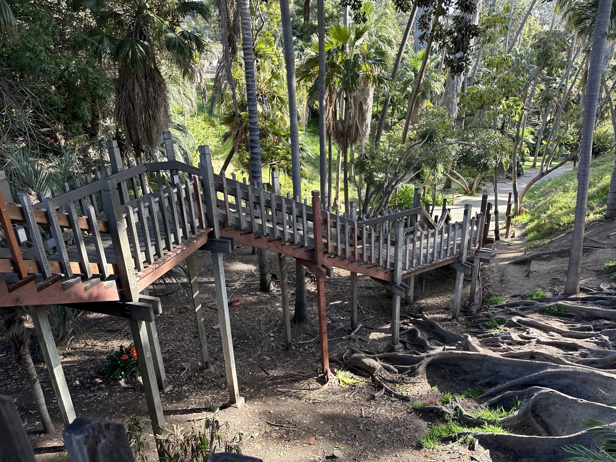 Trees