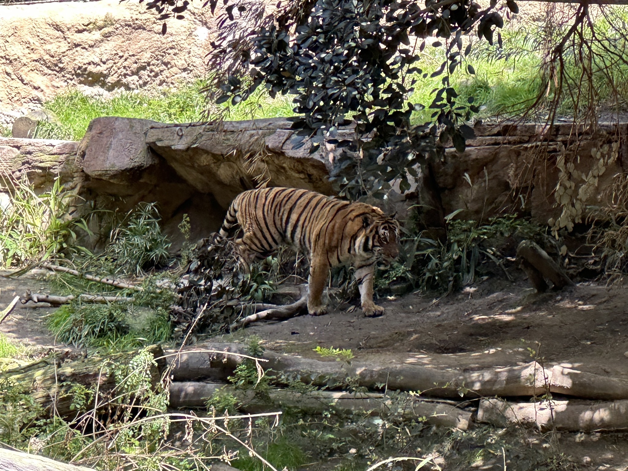 San Diego Zoo