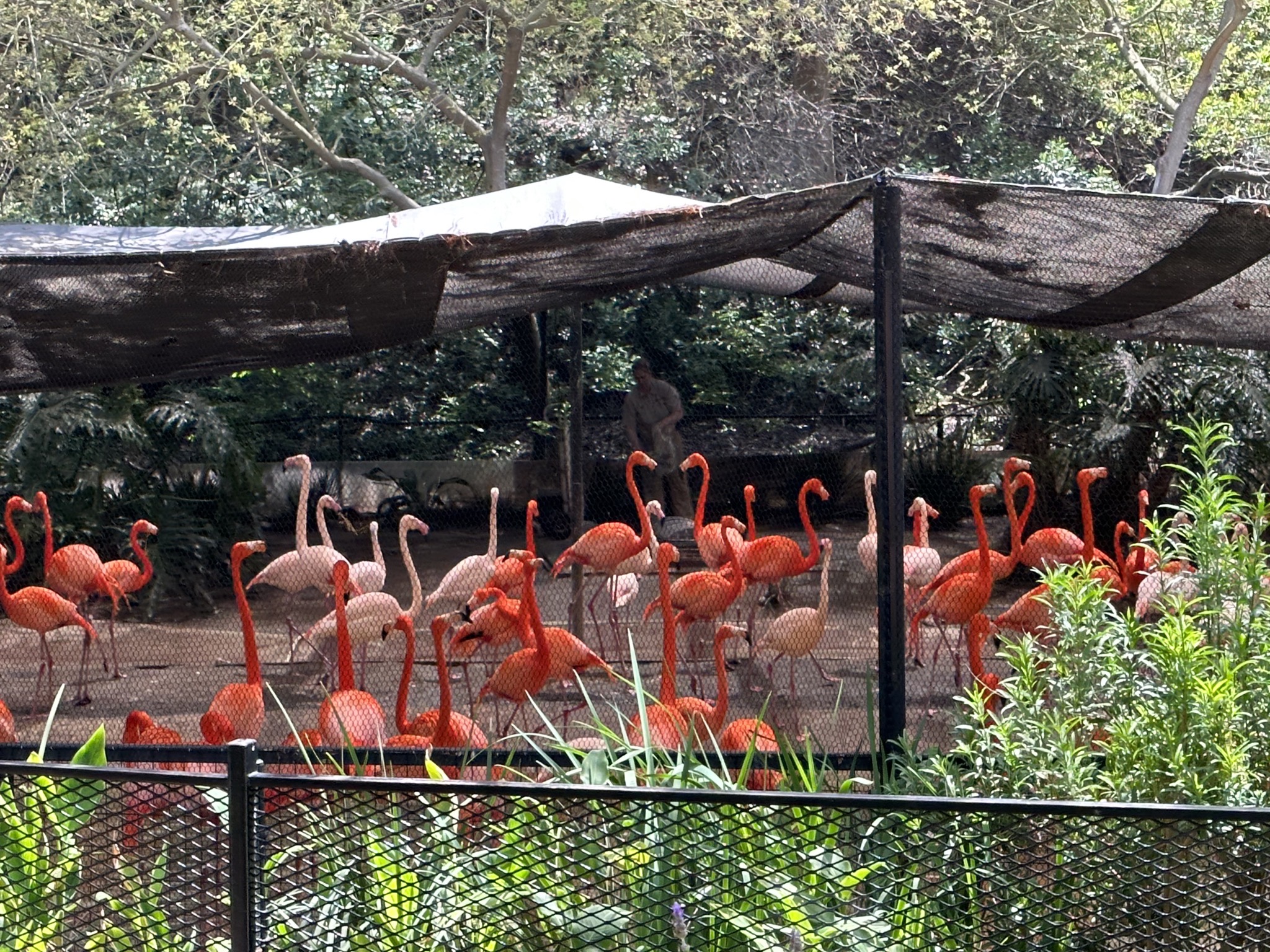 San Diego Zoo