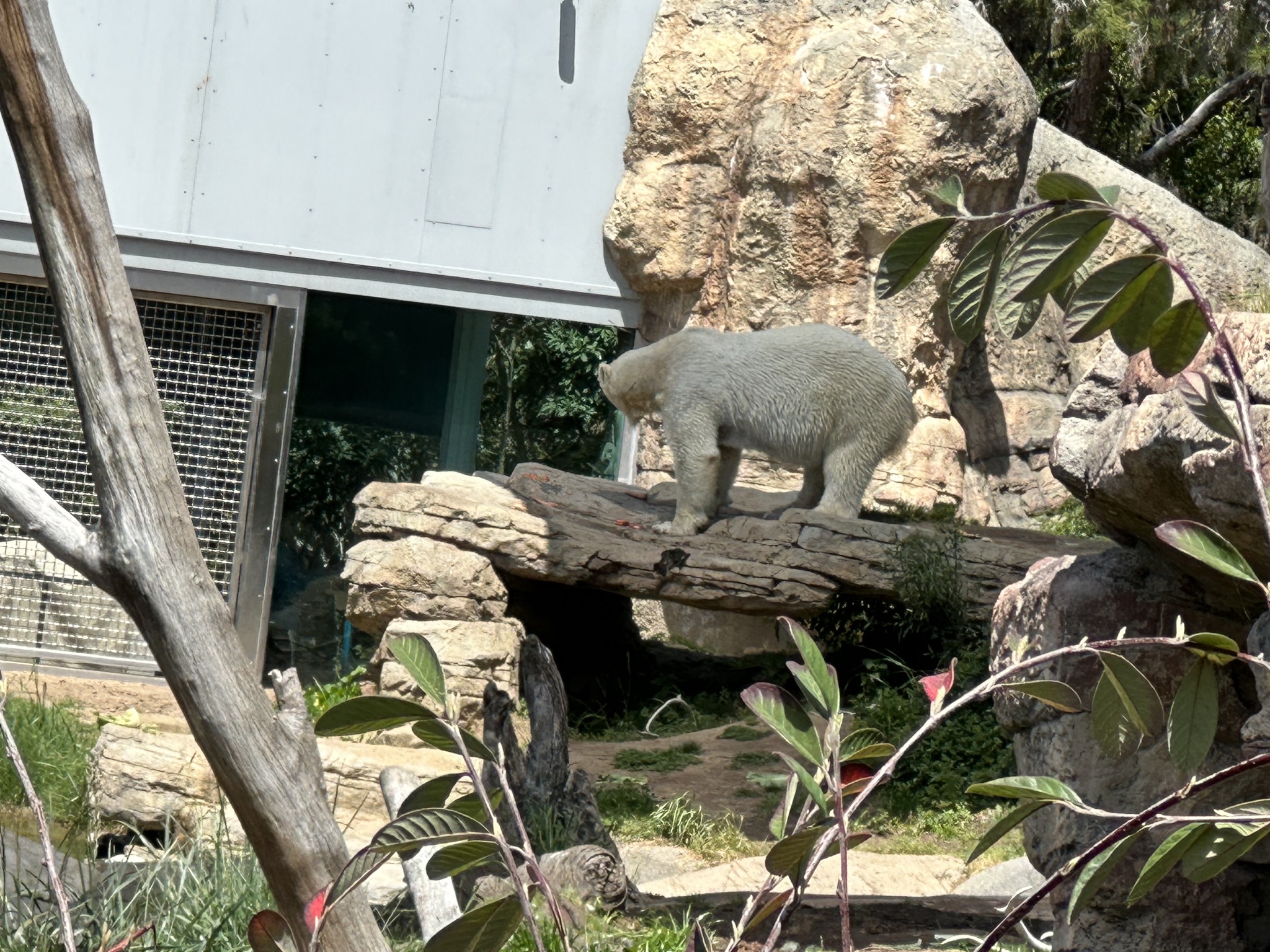 San Diego Zoo