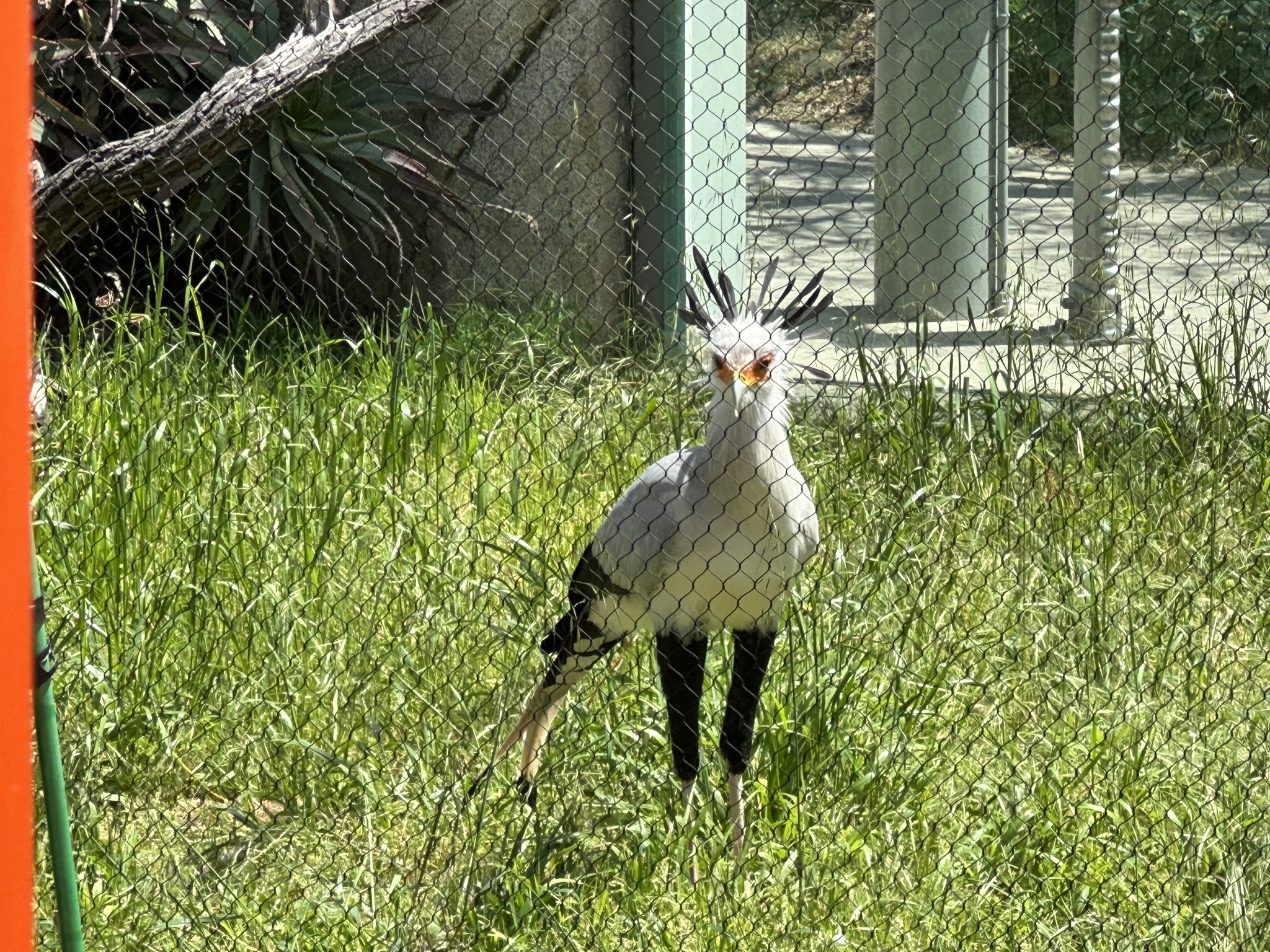 San Diego Zoo