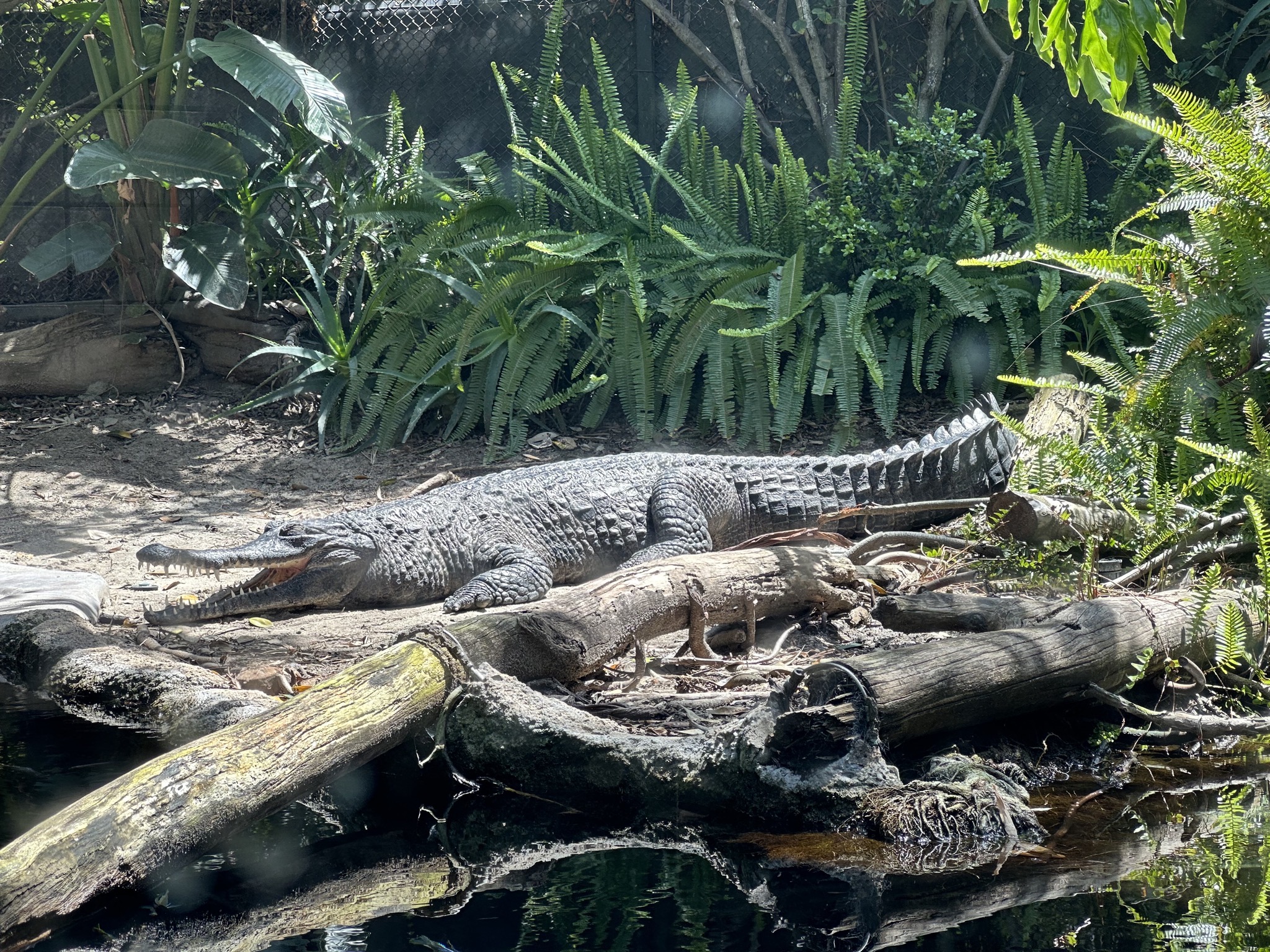 San Diego Zoo