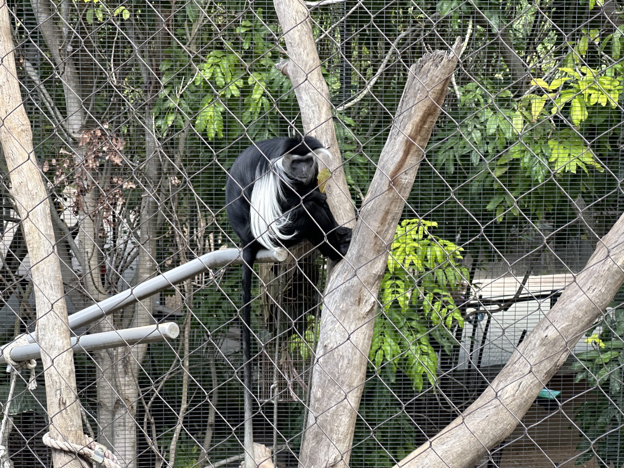 San Diego Zoo