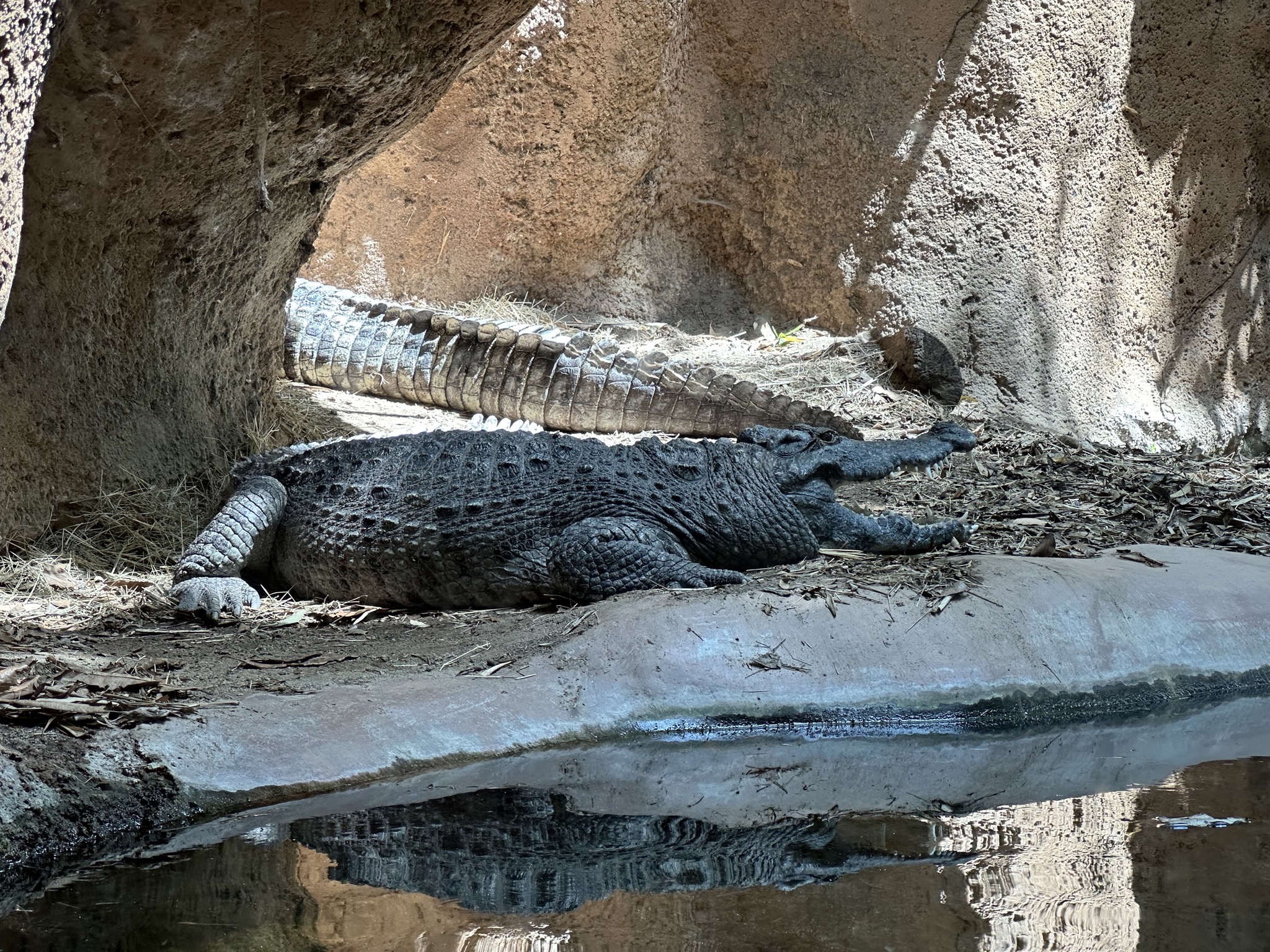 San Diego Zoo