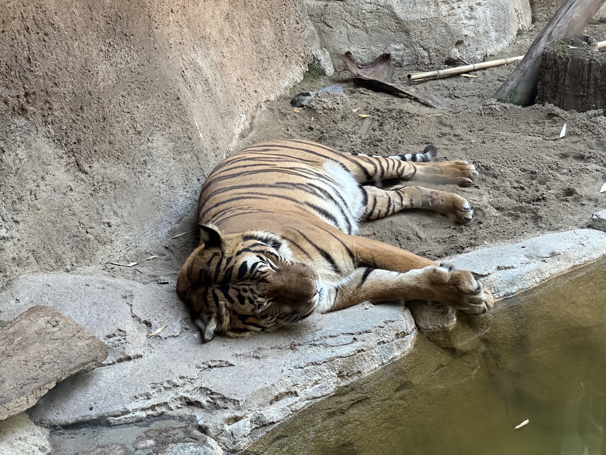 San Diego Zoo
