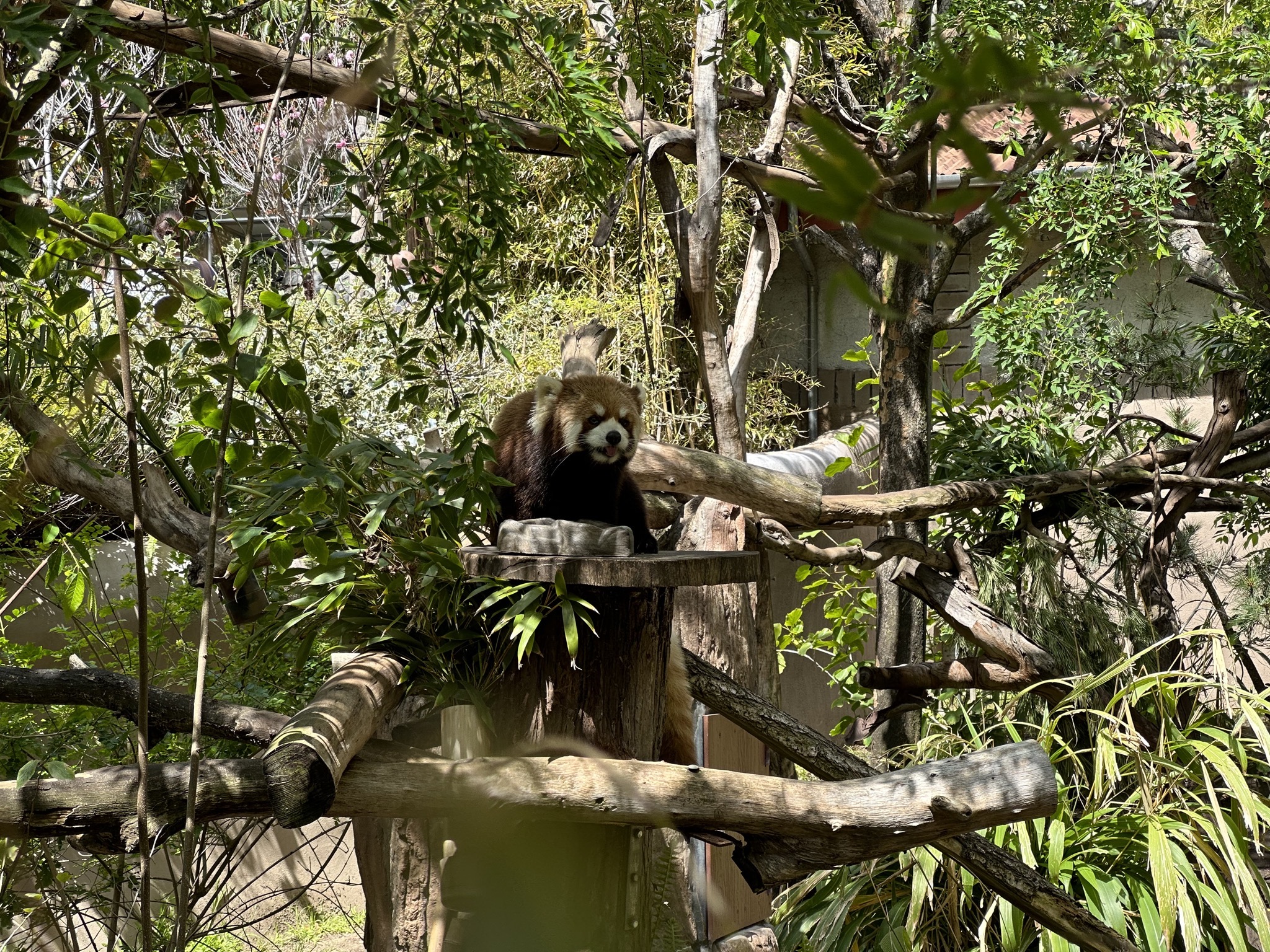 San Diego Zoo