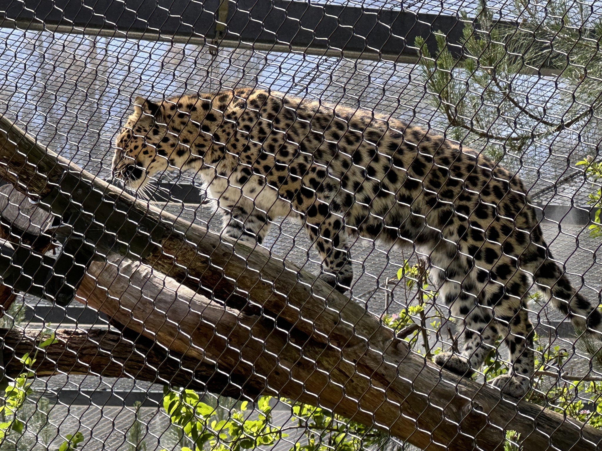 San Diego Zoo