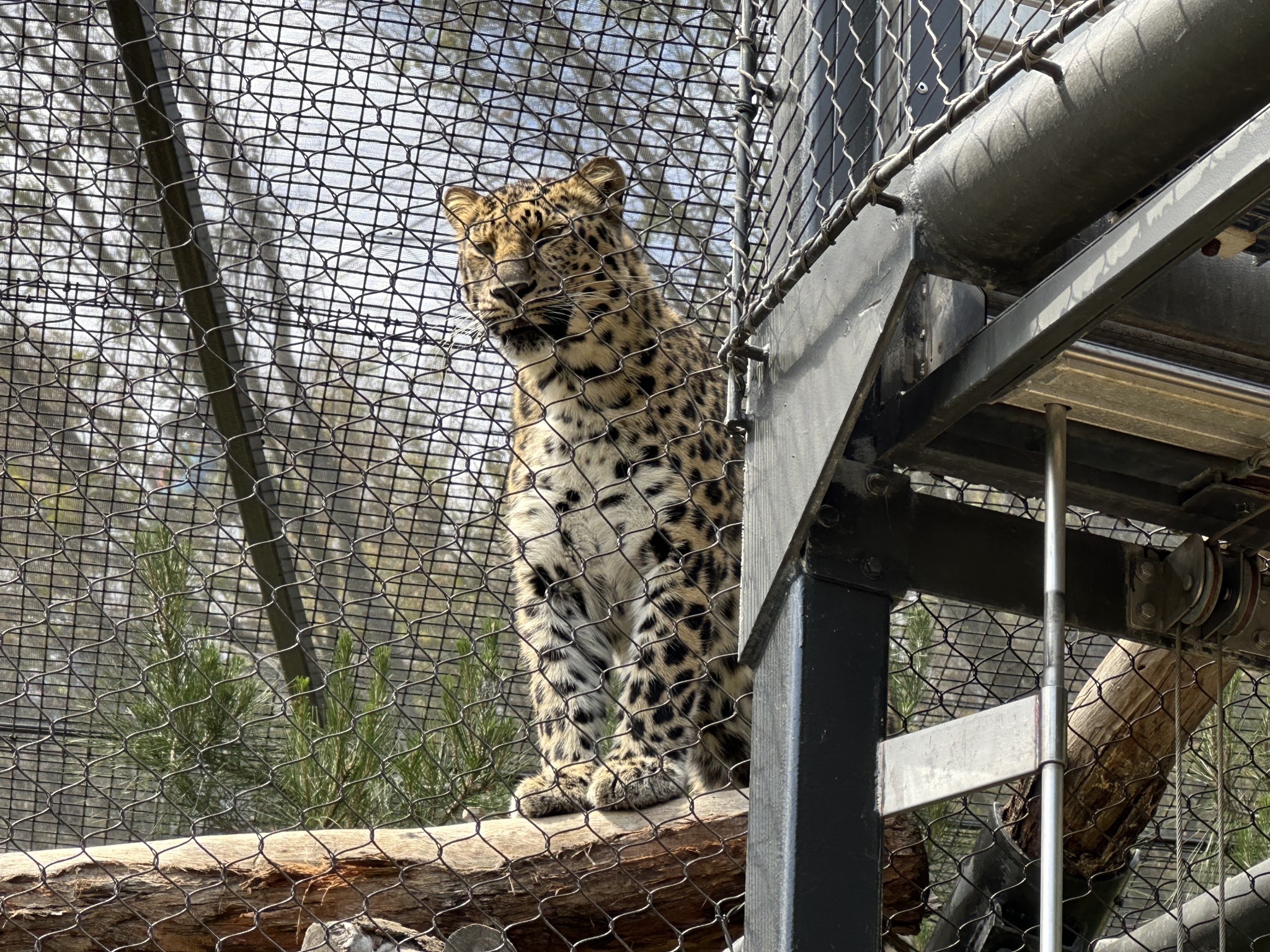 San Diego Zoo