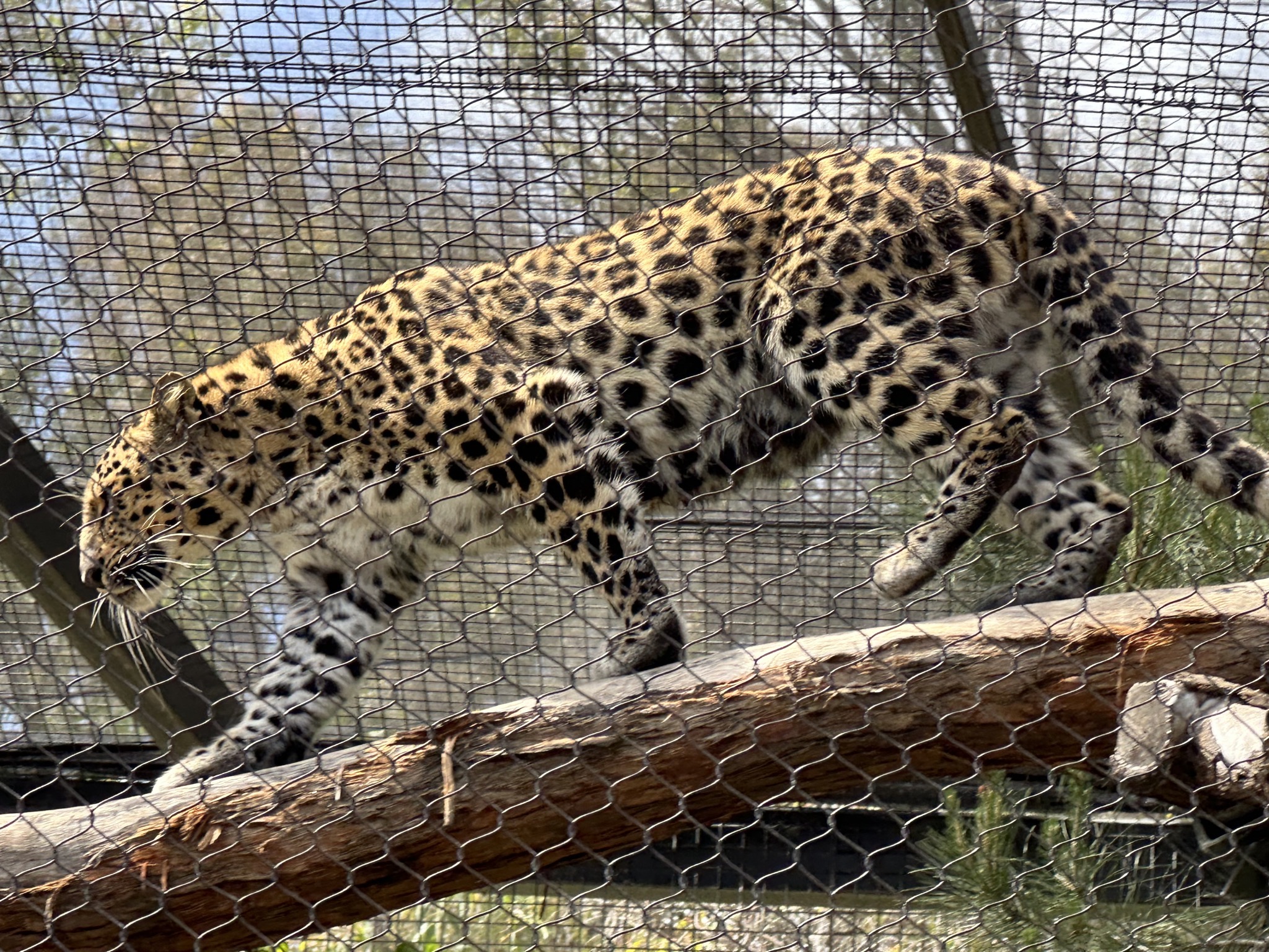 San Diego Zoo