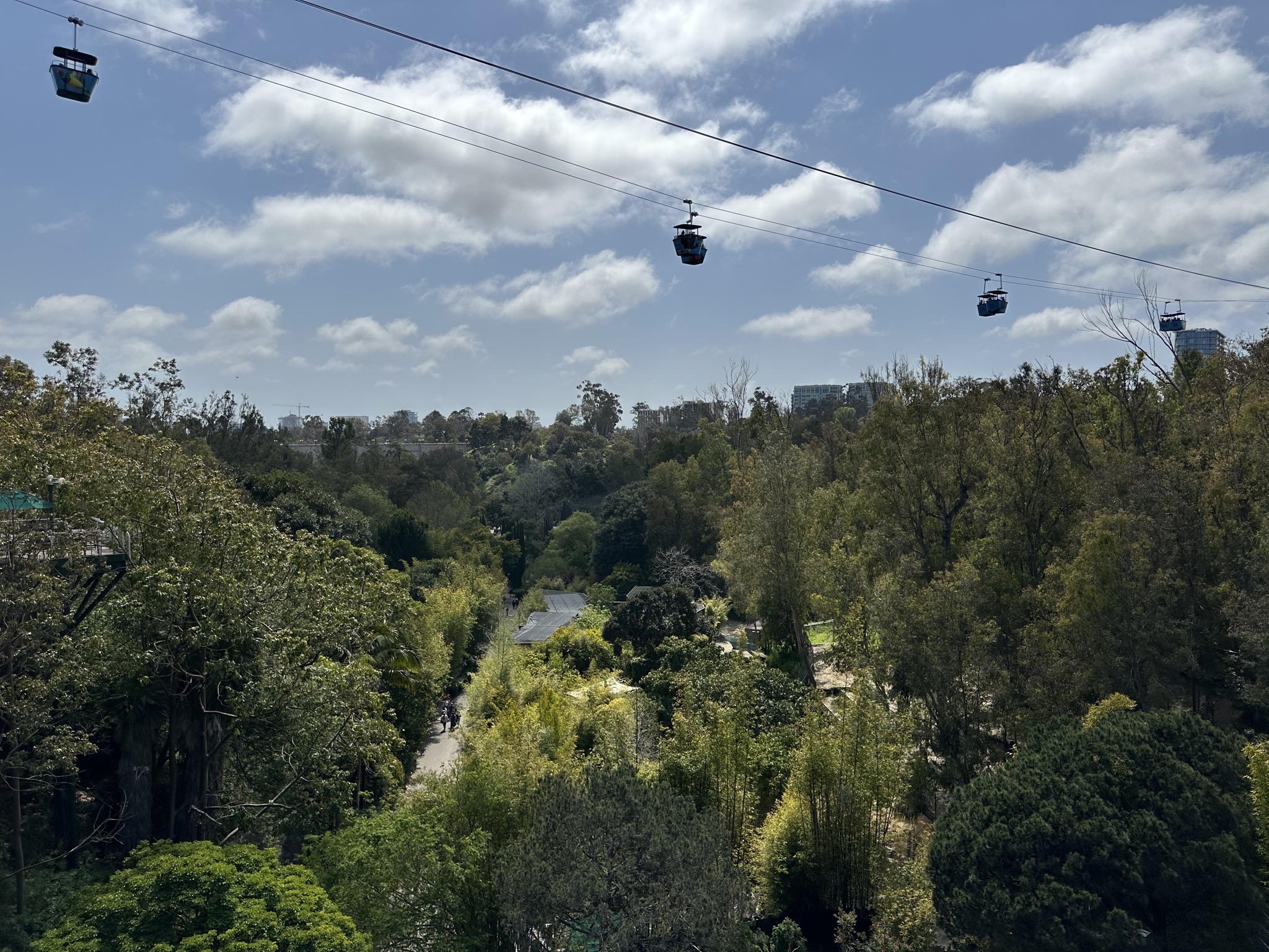 San Diego Zoo