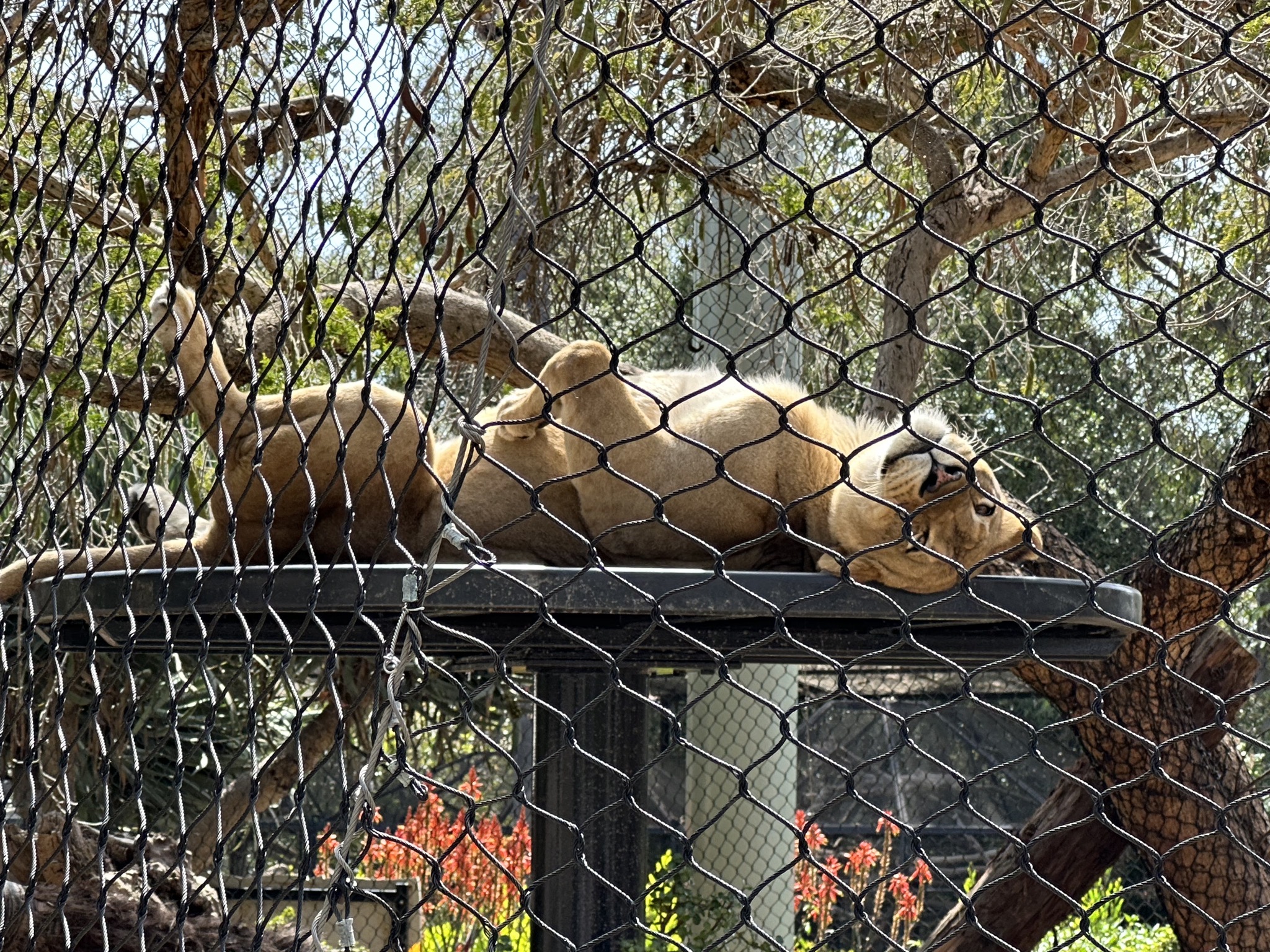 San Diego Zoo