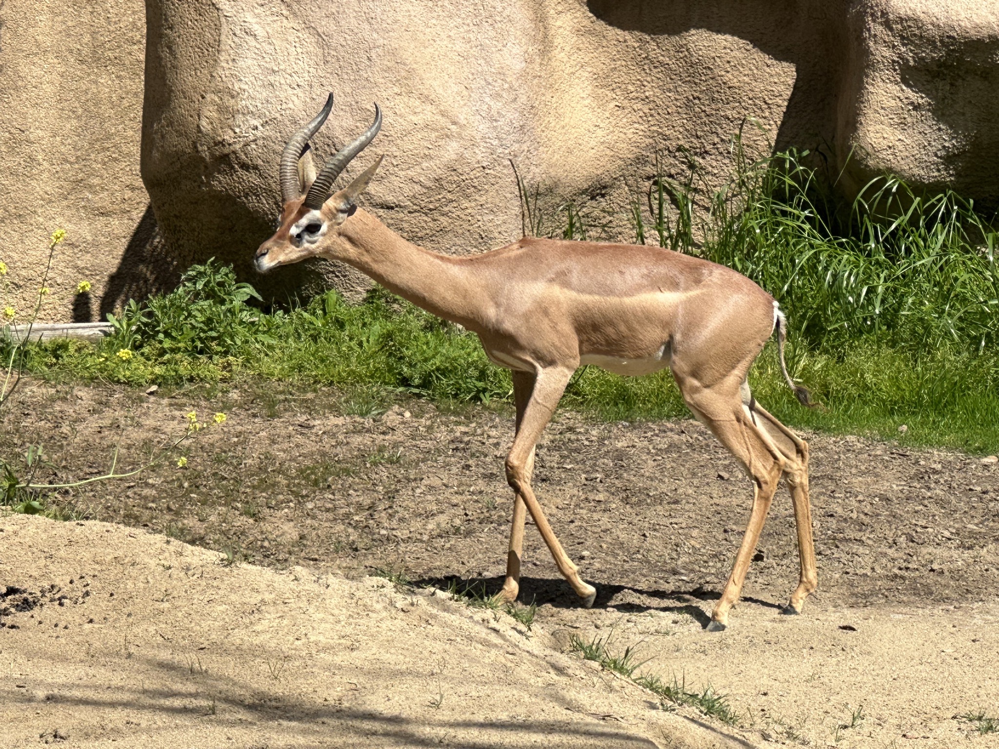 San Diego Zoo