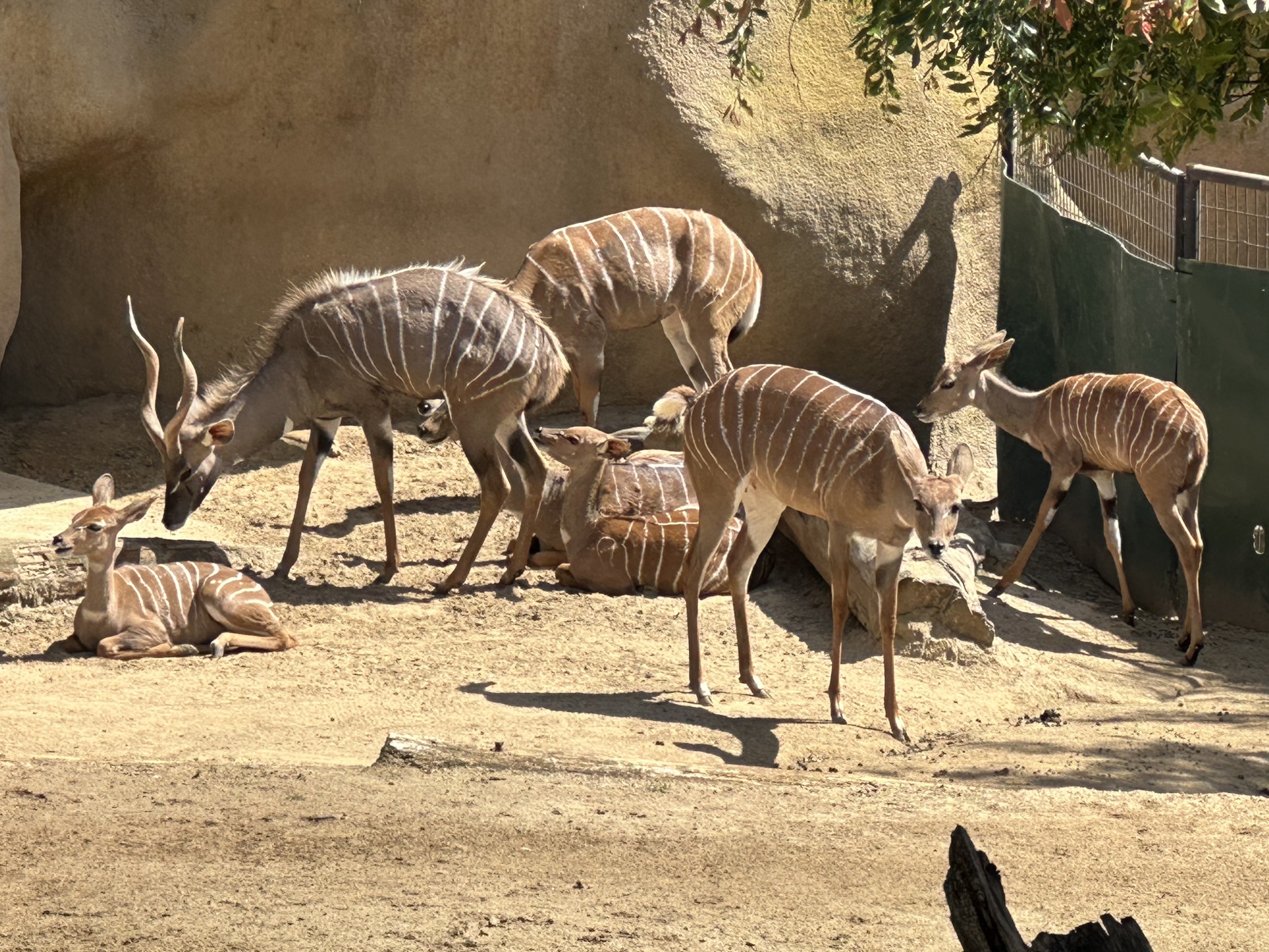 San Diego Zoo