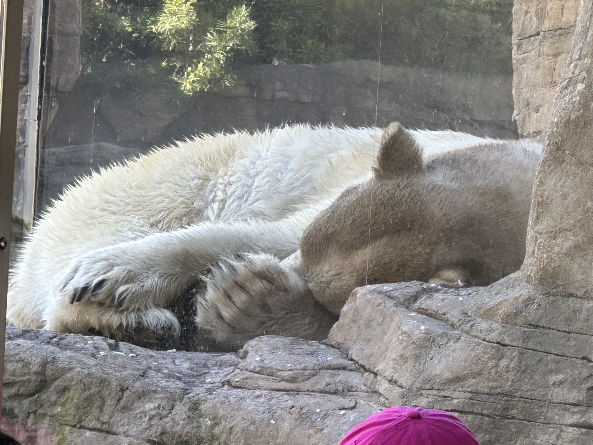 San Diego Zoo
