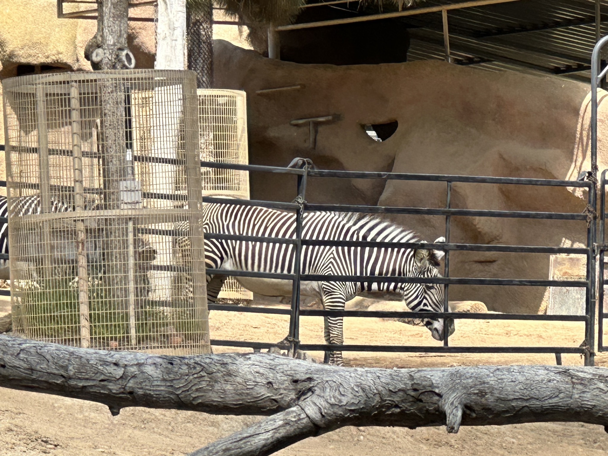 San Diego Zoo