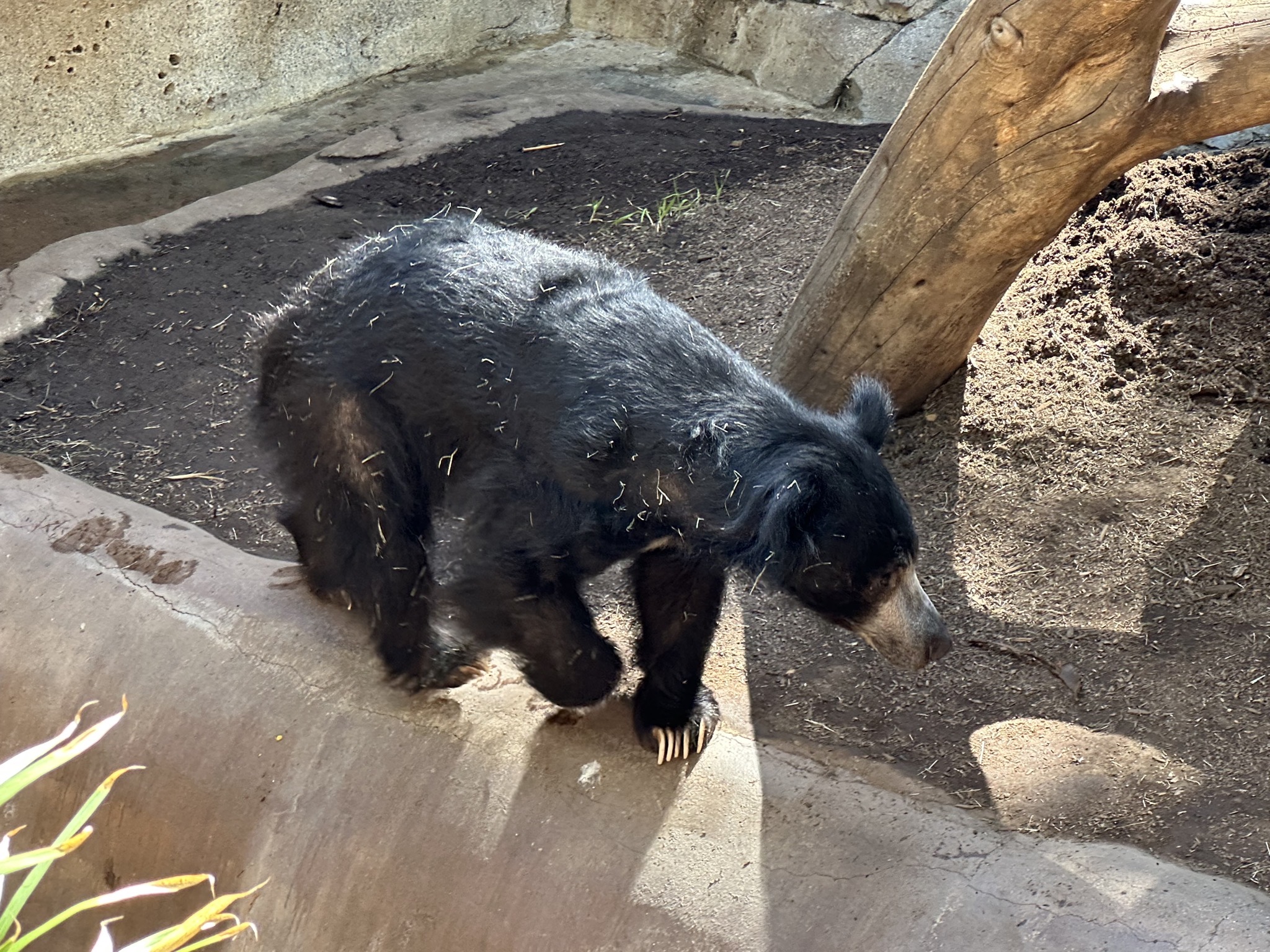 San Diego Zoo