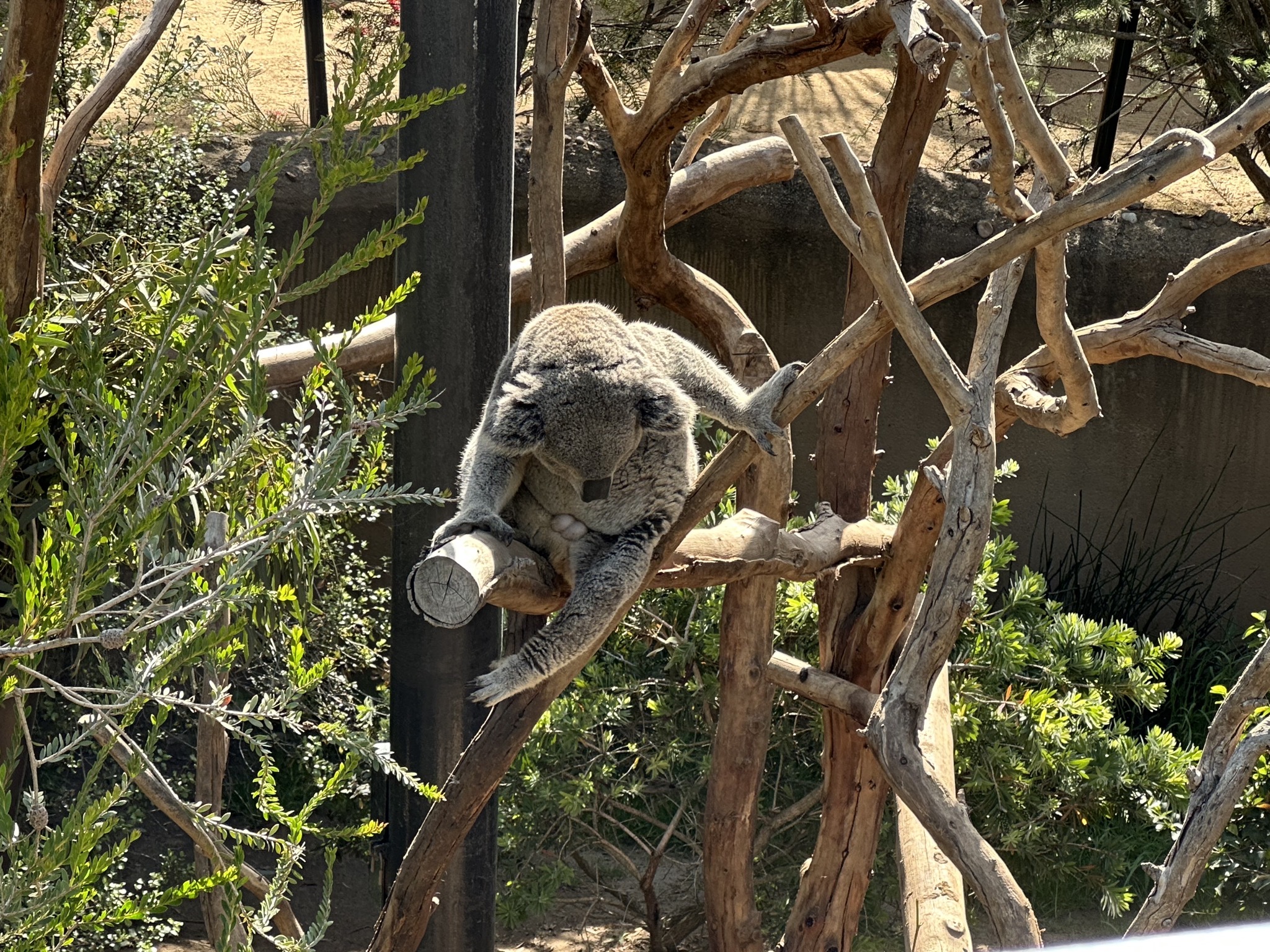 San Diego Zoo
