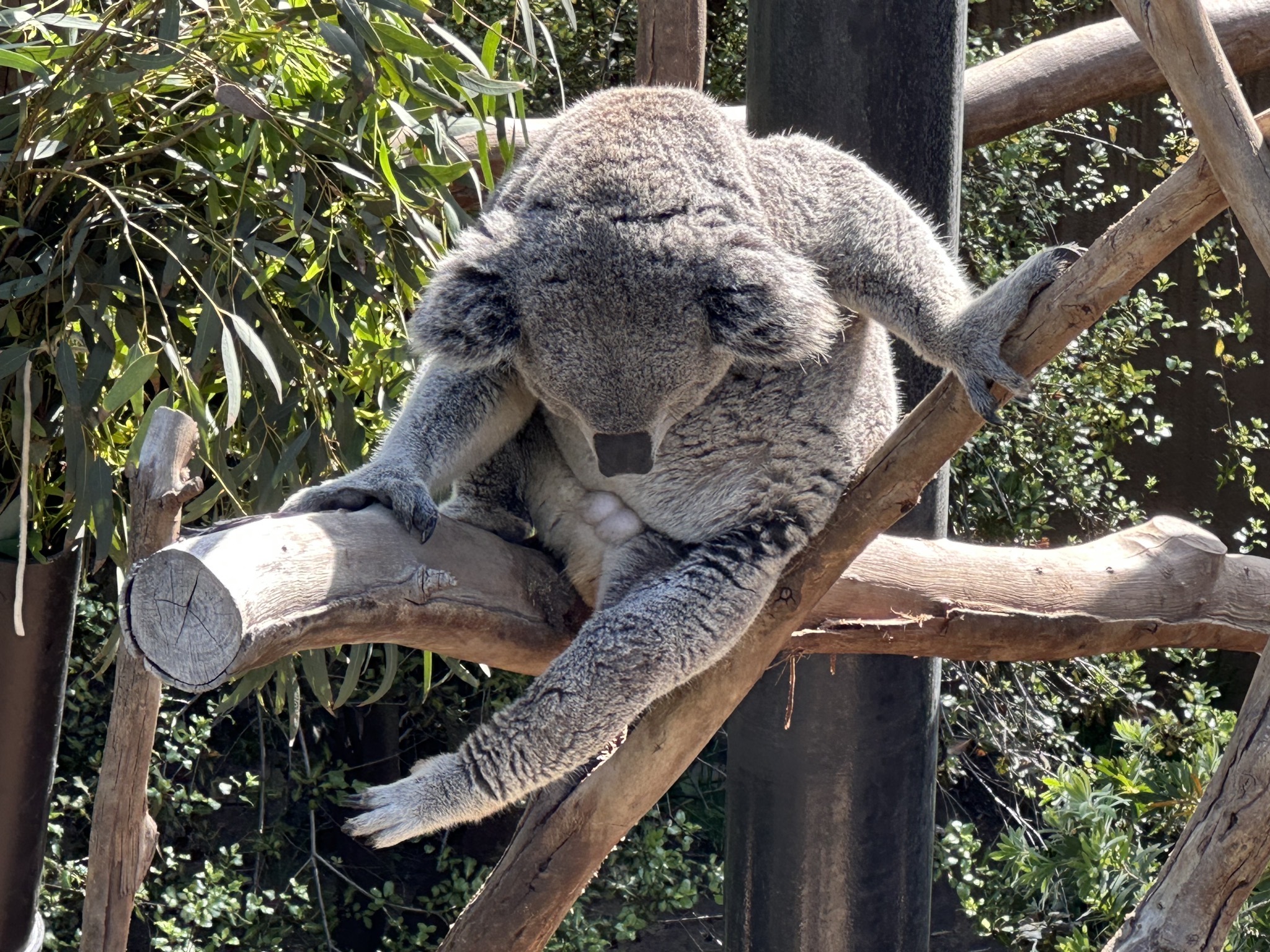 San Diego Zoo
