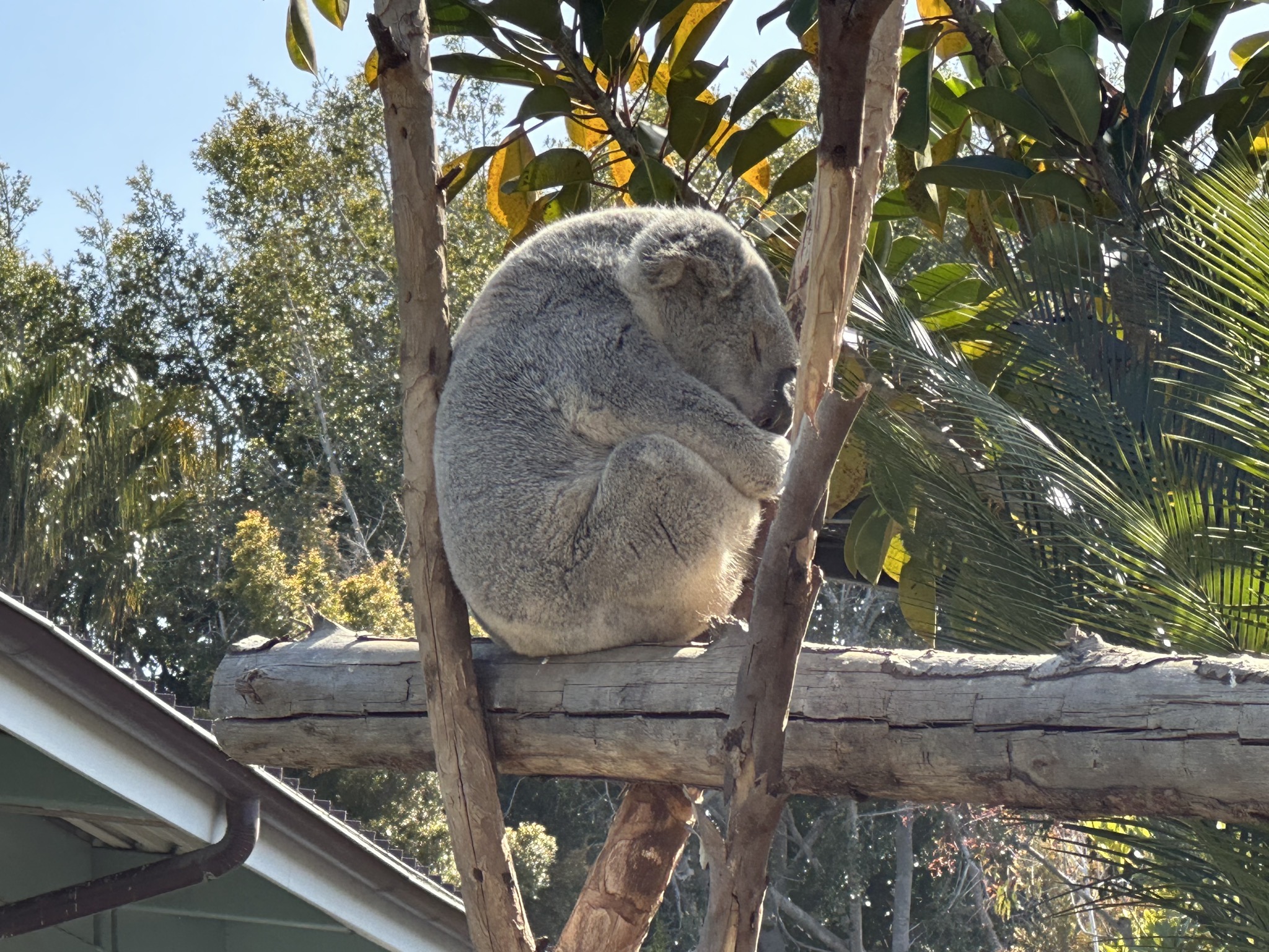 San Diego Zoo