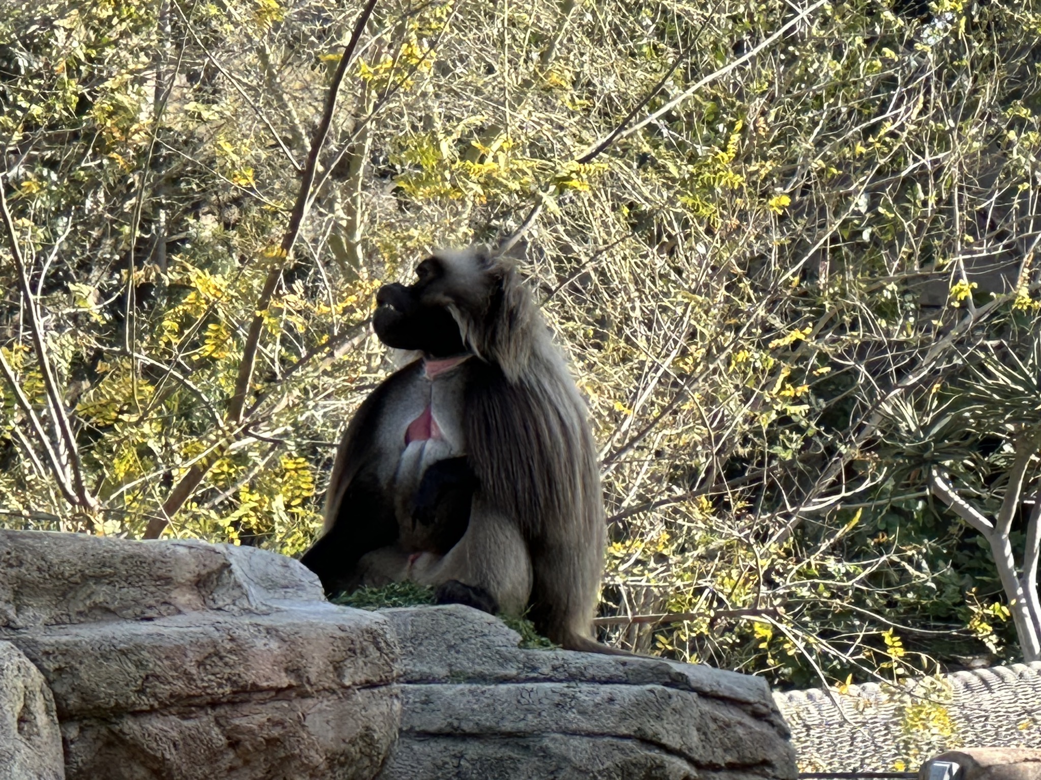 San Diego Zoo