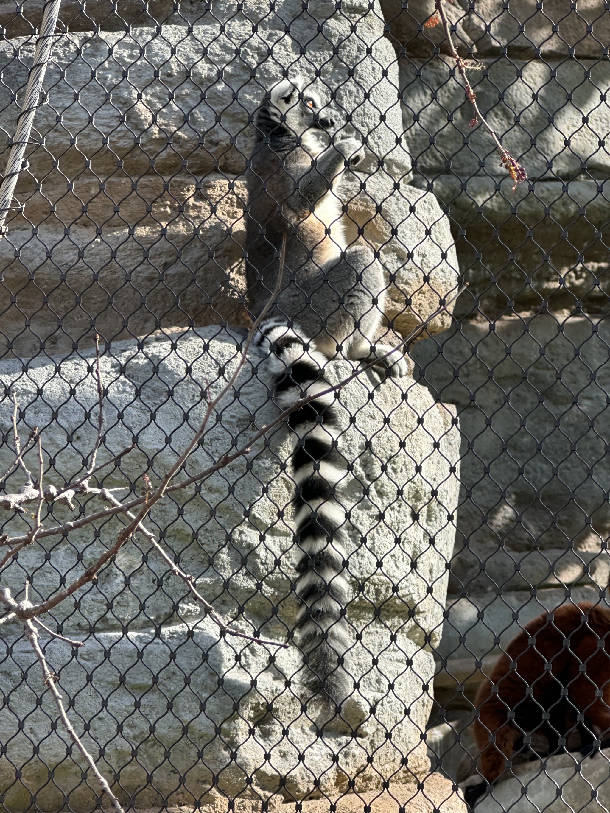 San Diego Zoo