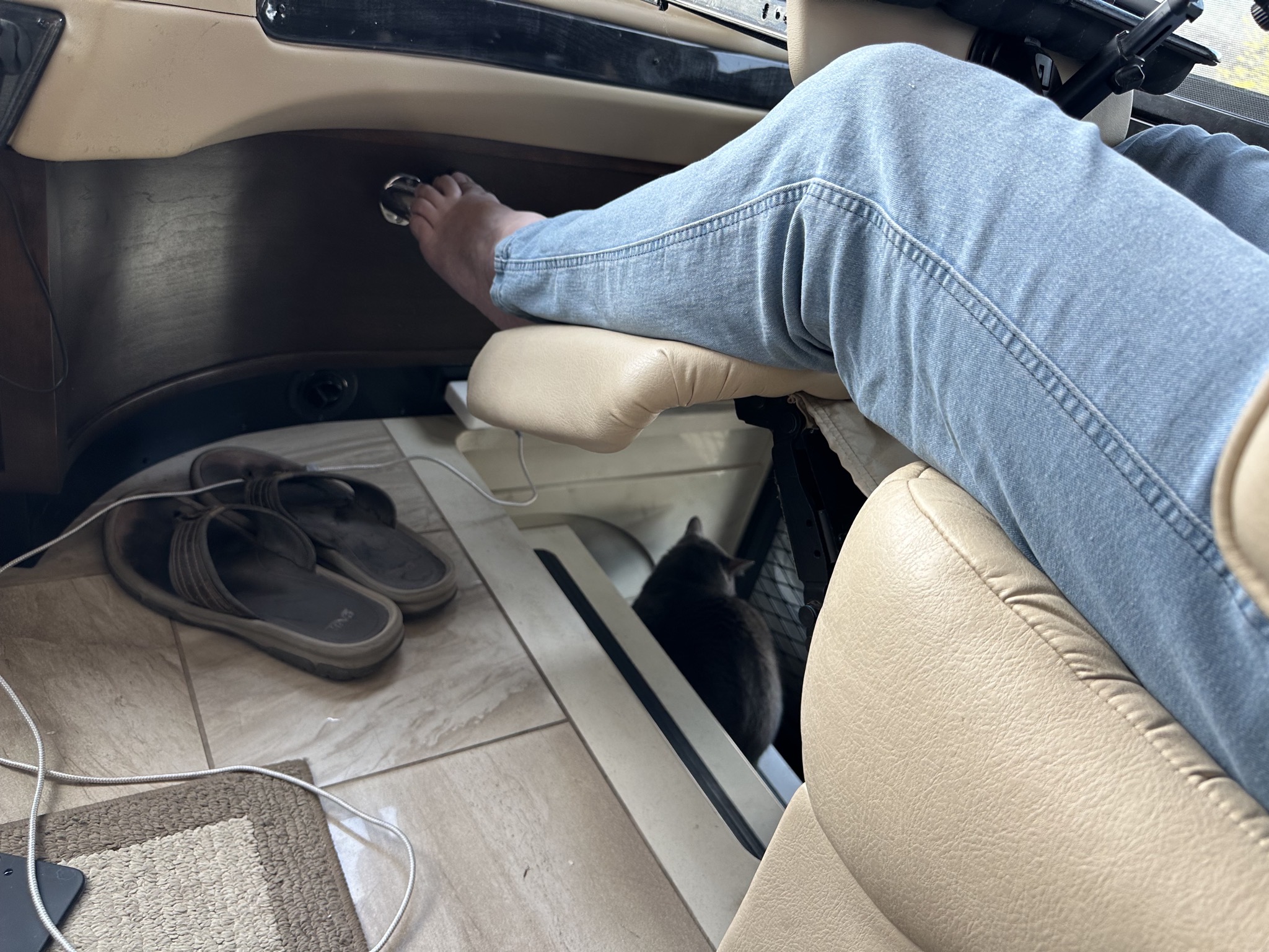 Paladin and footrest