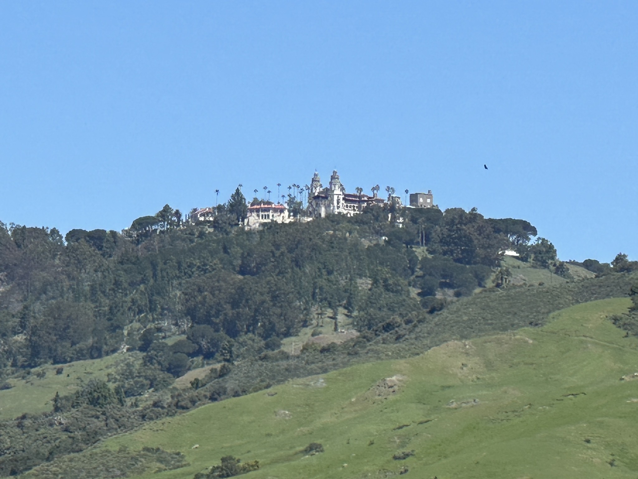 Hearst Castle
