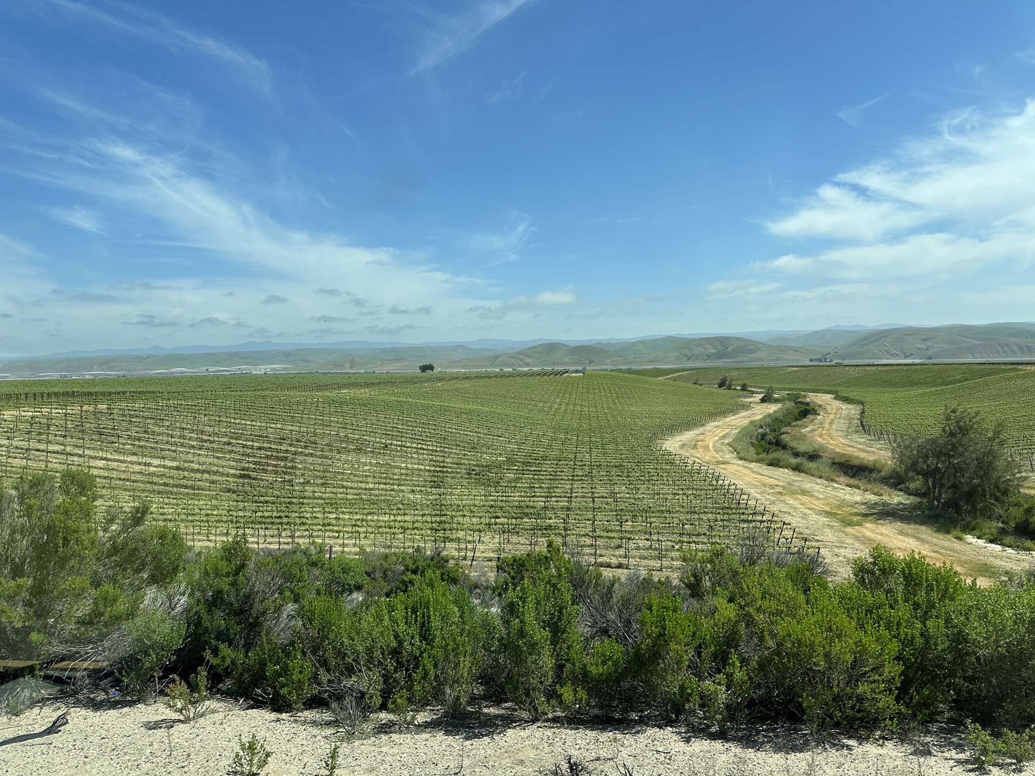 Vineyards