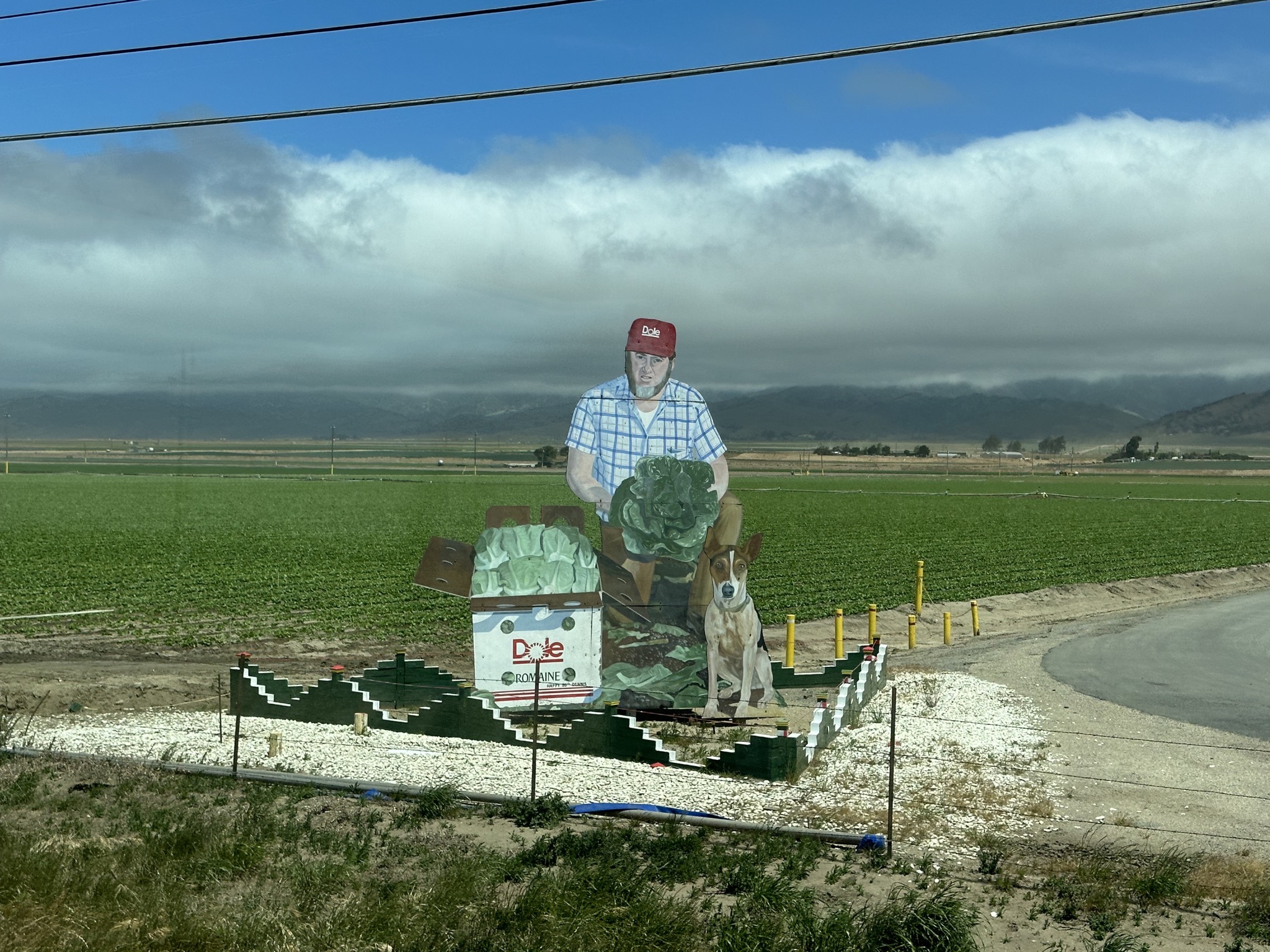 Roadside artwork