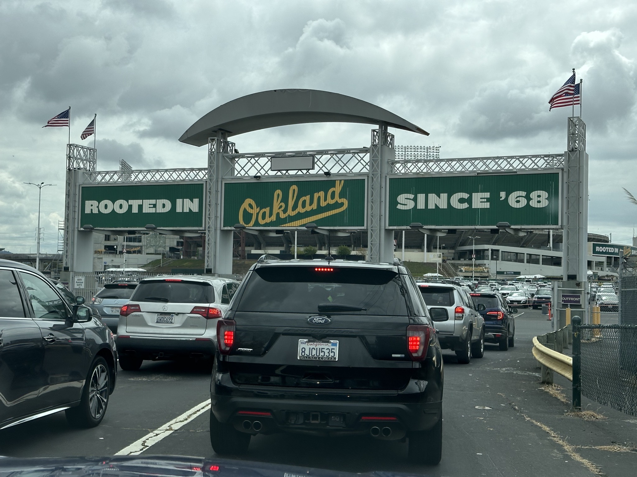 Rooted in Oakland