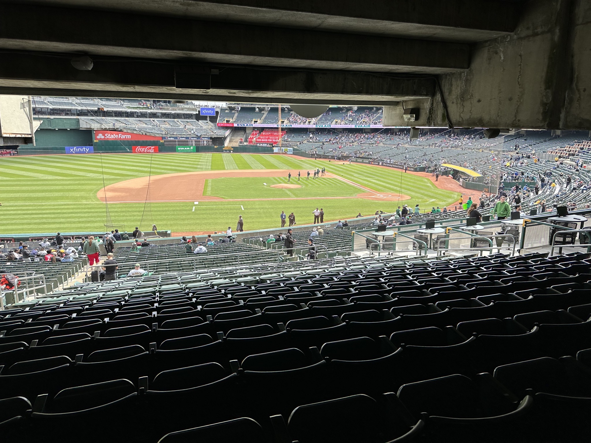 A peek of the field