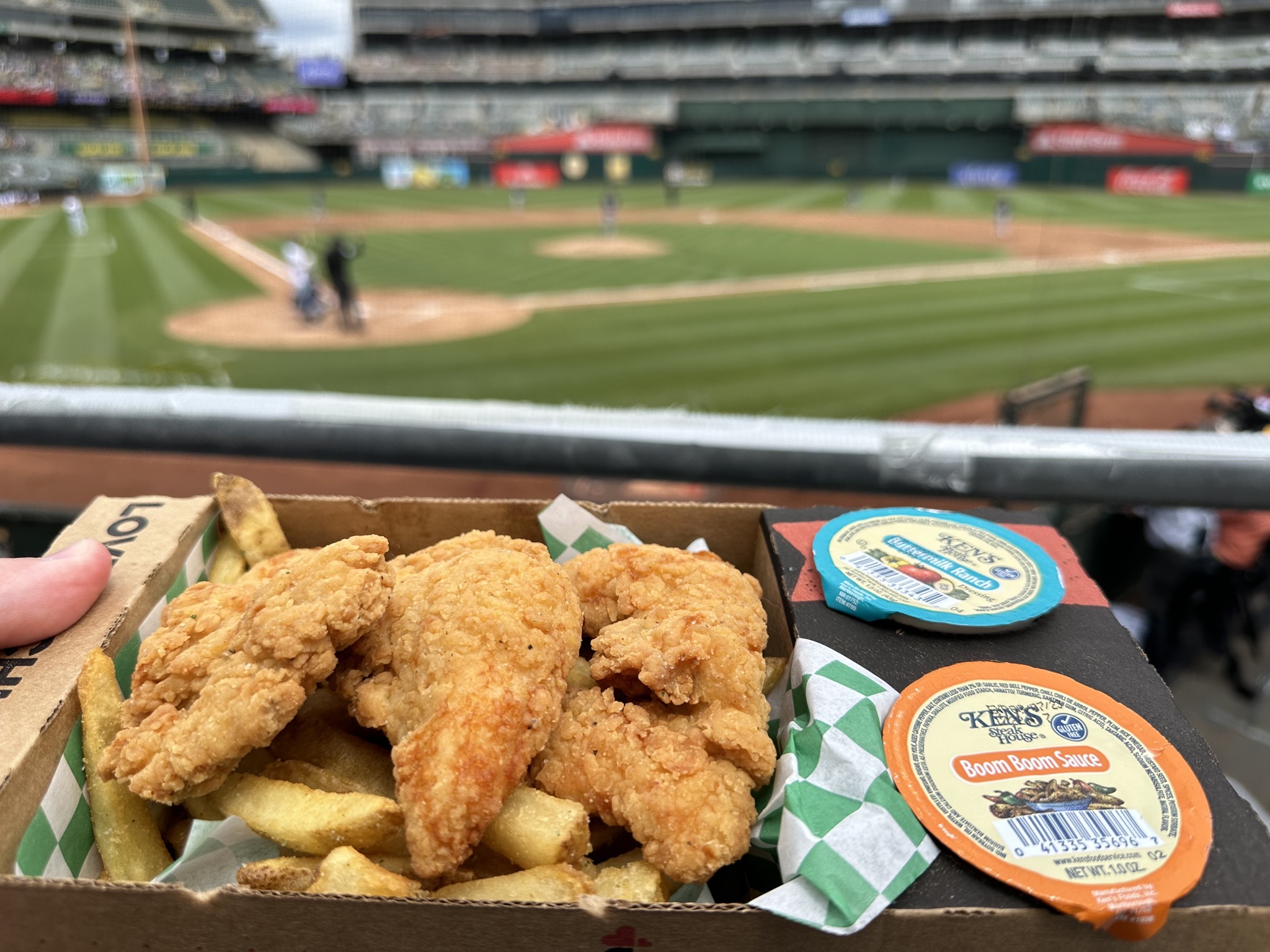 Chicken and fries