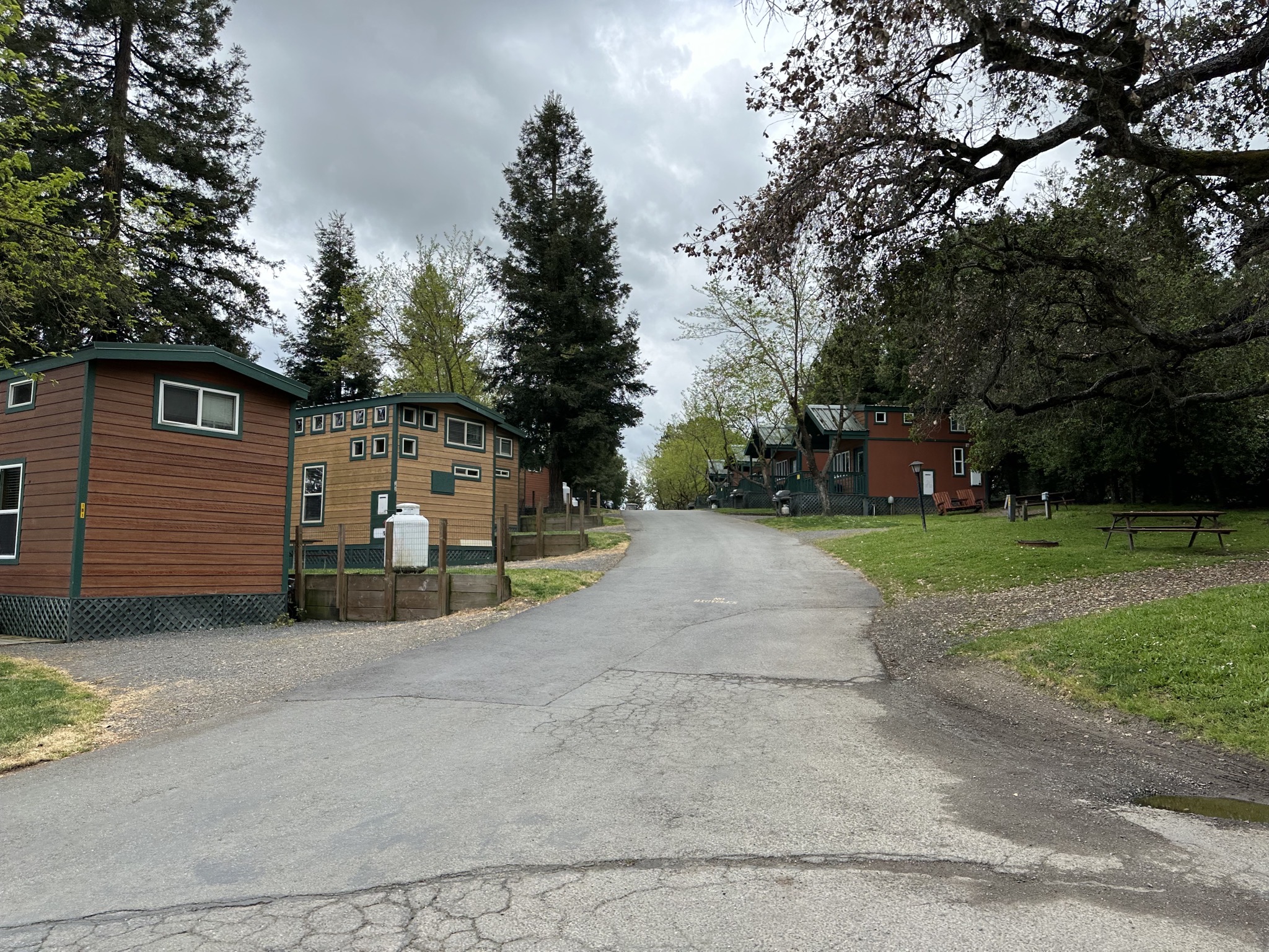 Cabins