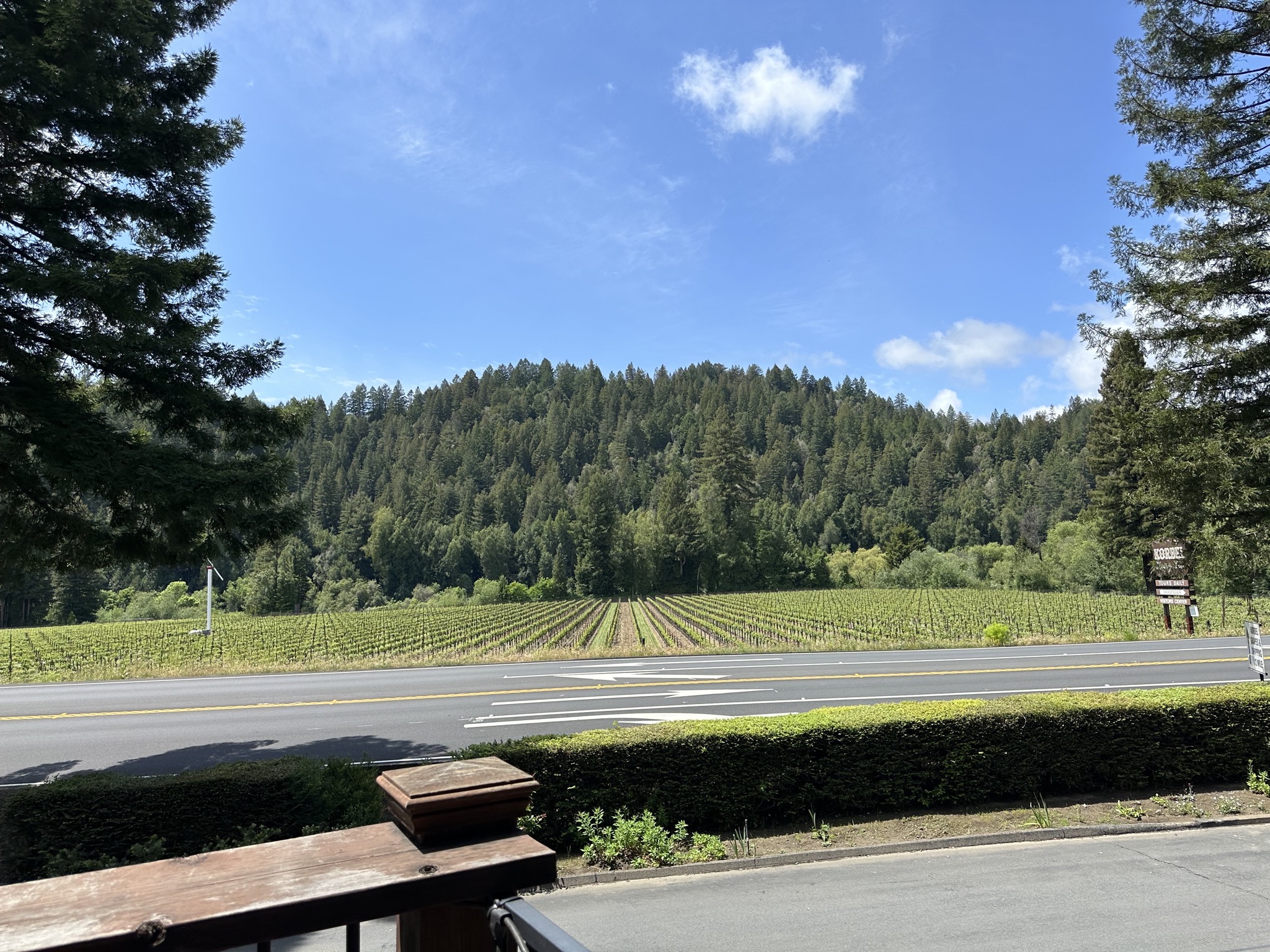 Korbel
