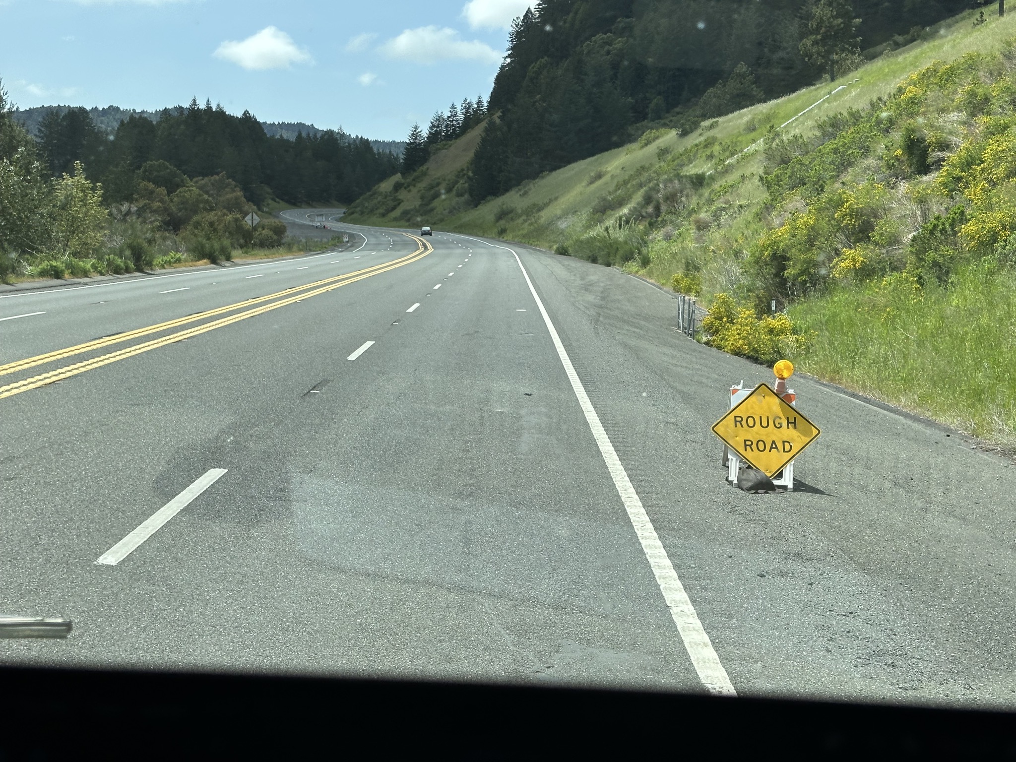 Rough road