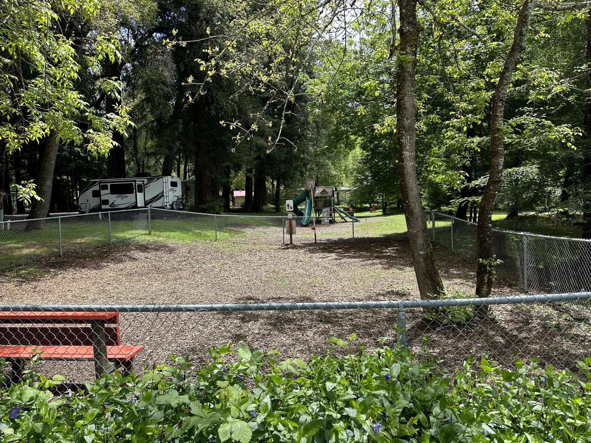 Dog park