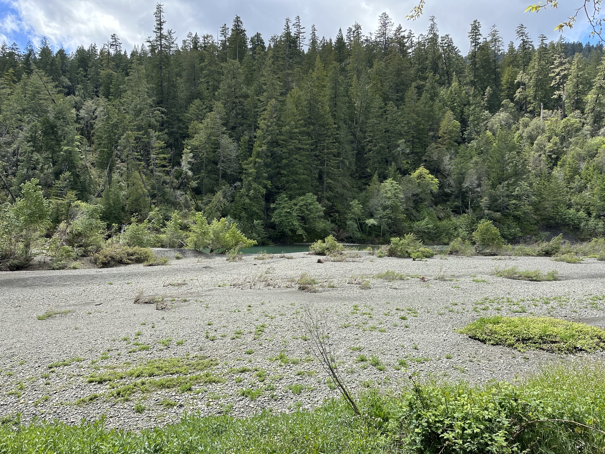 River and stones