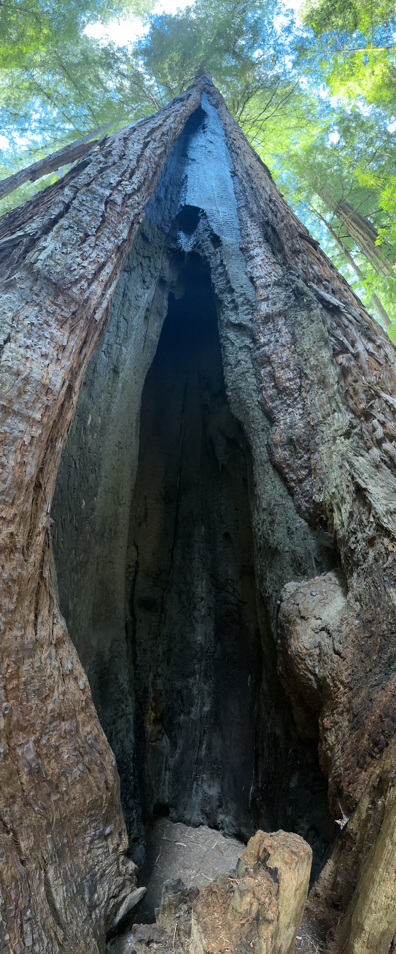 Gould Grove Nature Loop Trail