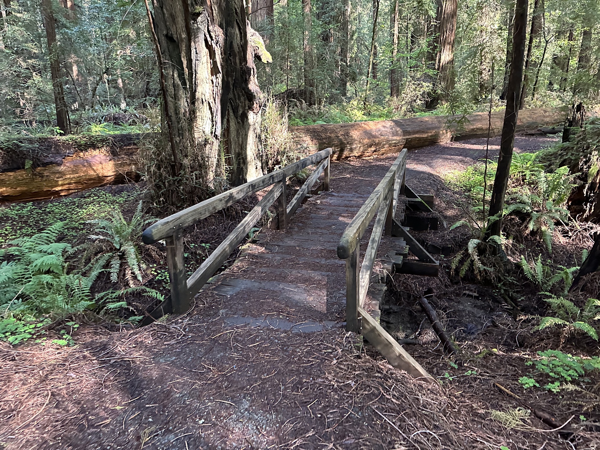 Gould Grove Nature Loop Trail