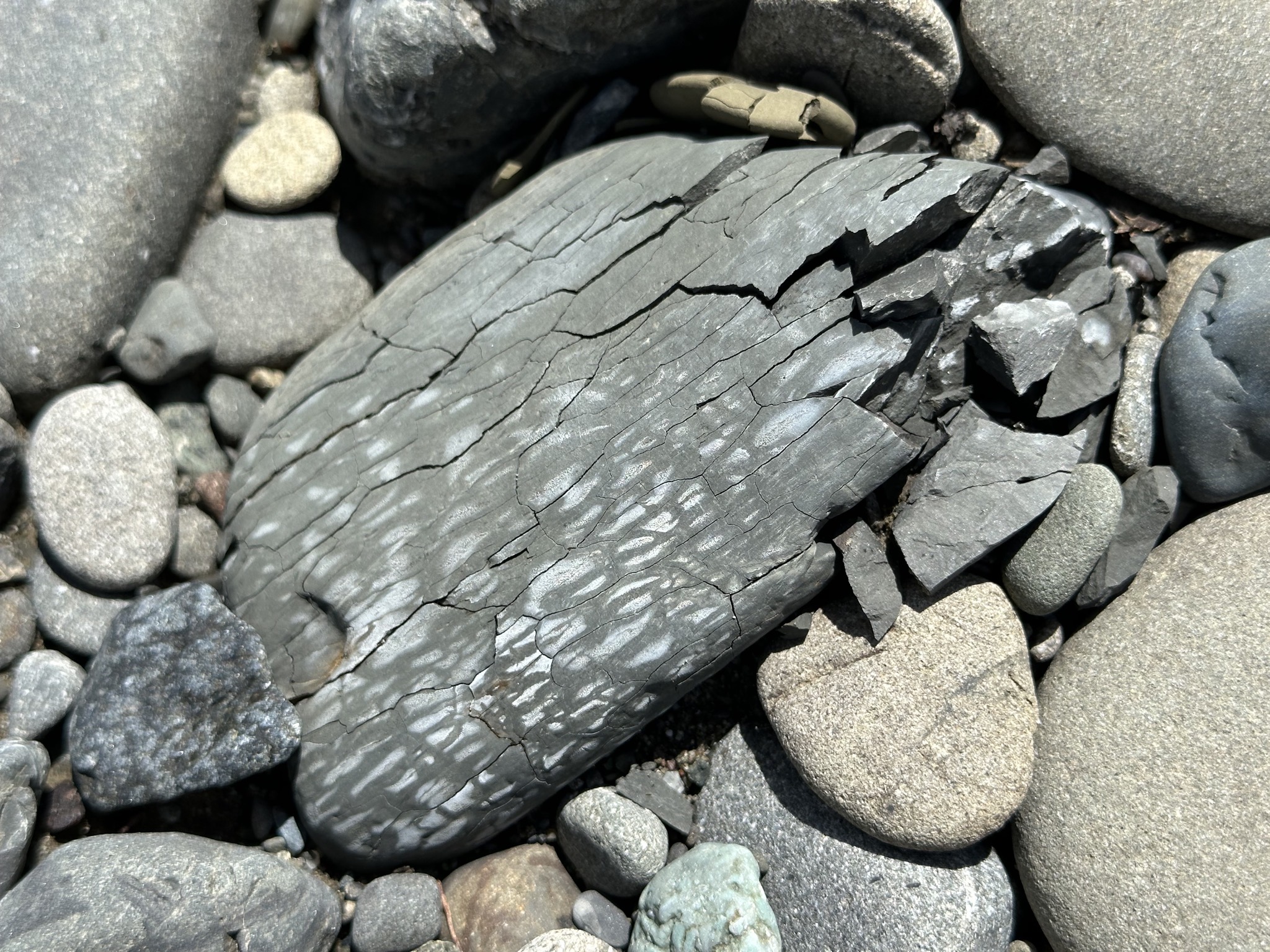 Rocks