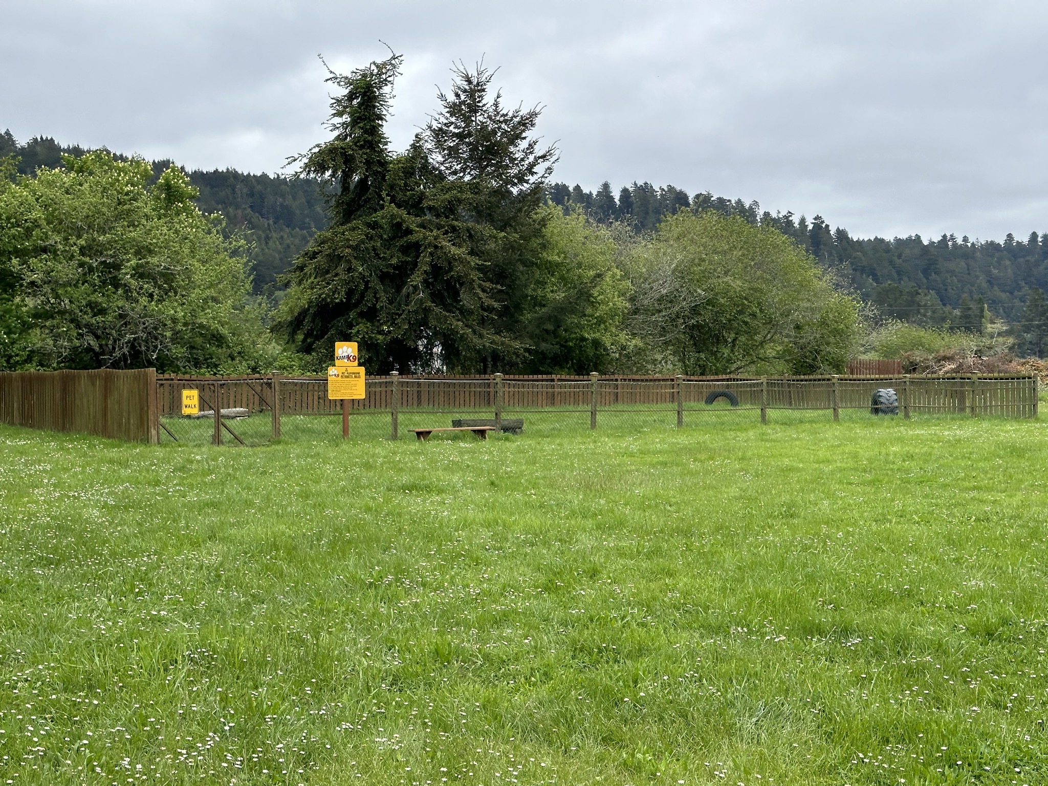 Dog park