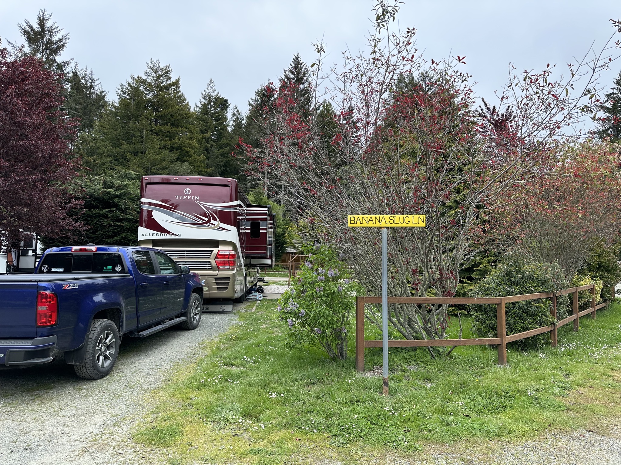 Our site