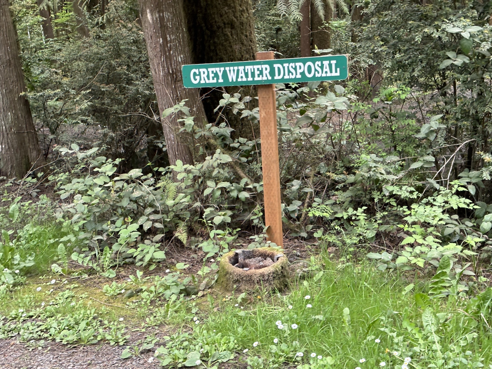 Grey water disposal
