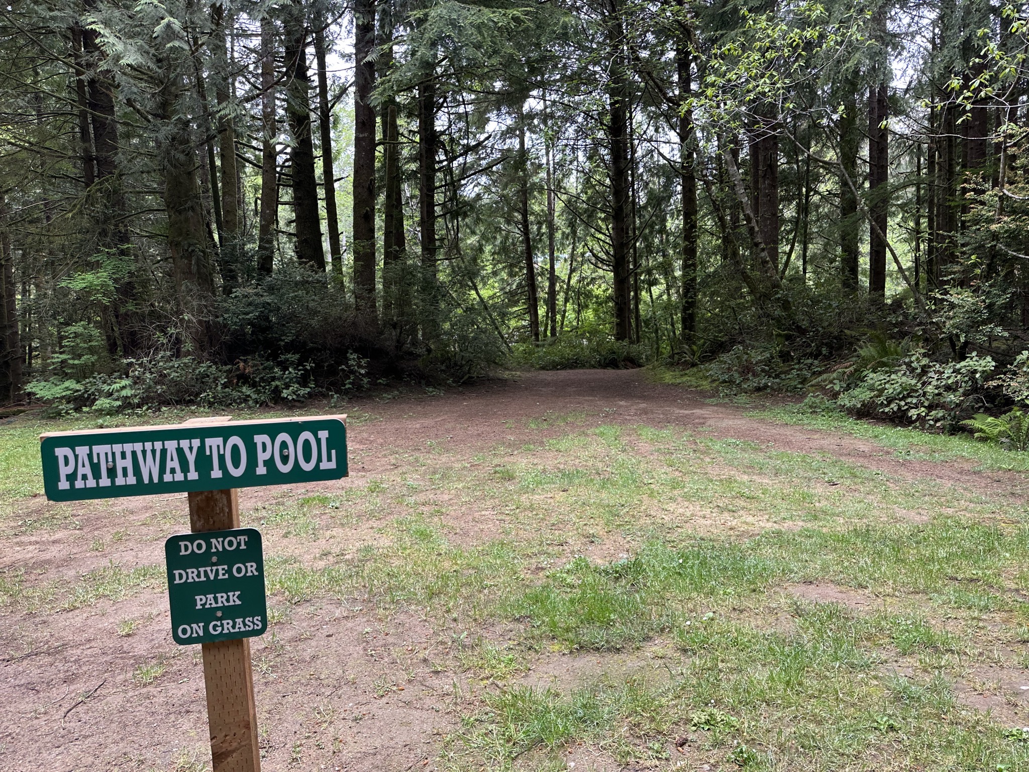 Pathway to pool